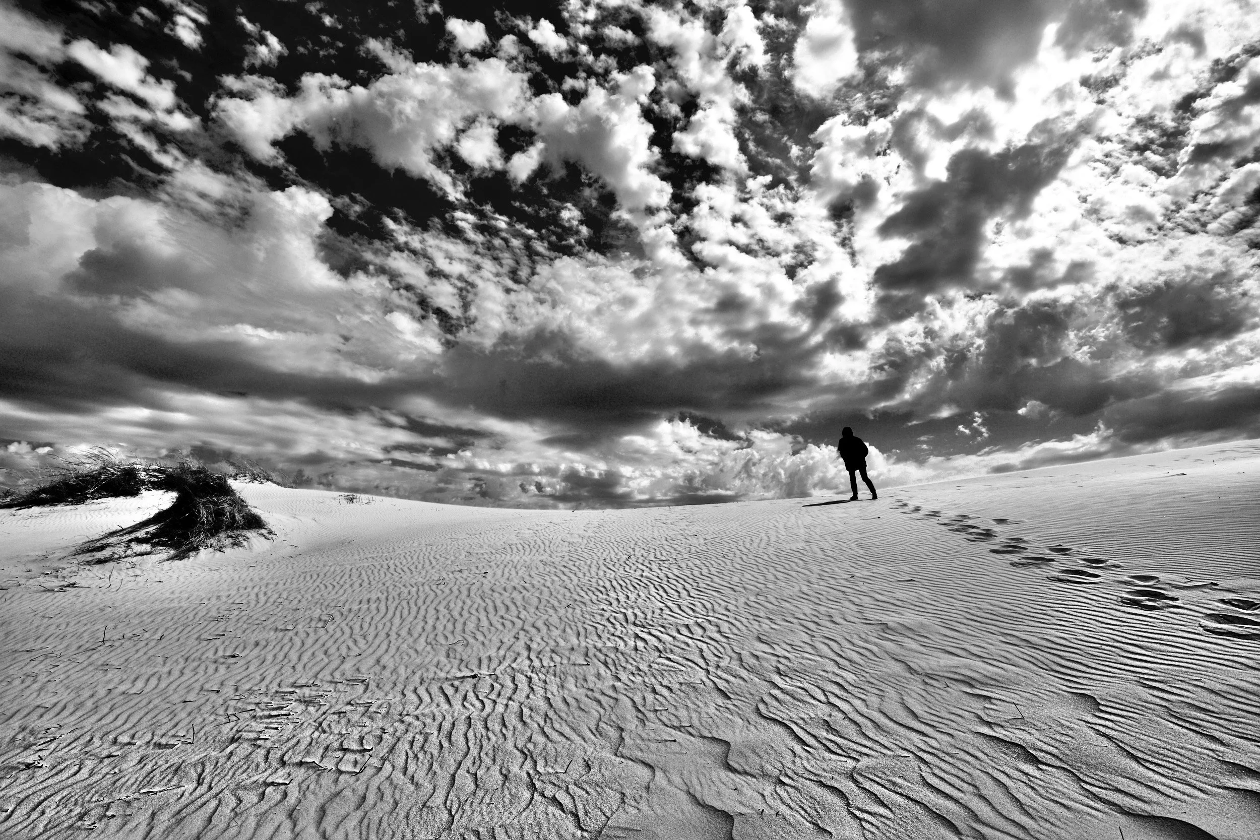 " Edge of Eternity " Lone traveler crosses Monahans Sandhills State Park. Texas 