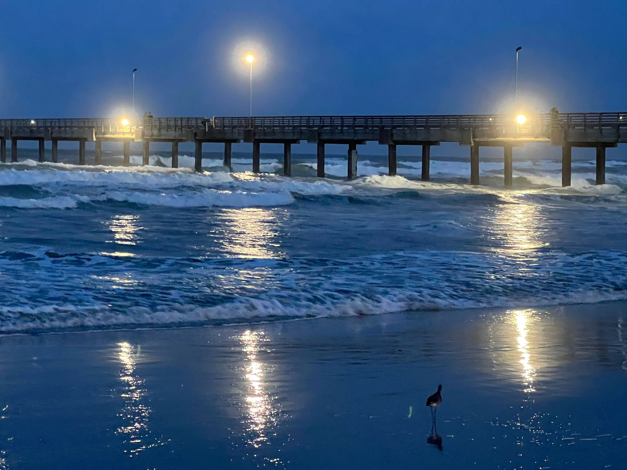 " The Blue Hour " Port Aransas pier illuminated at dusk with reflections across the Gulf shoreline.