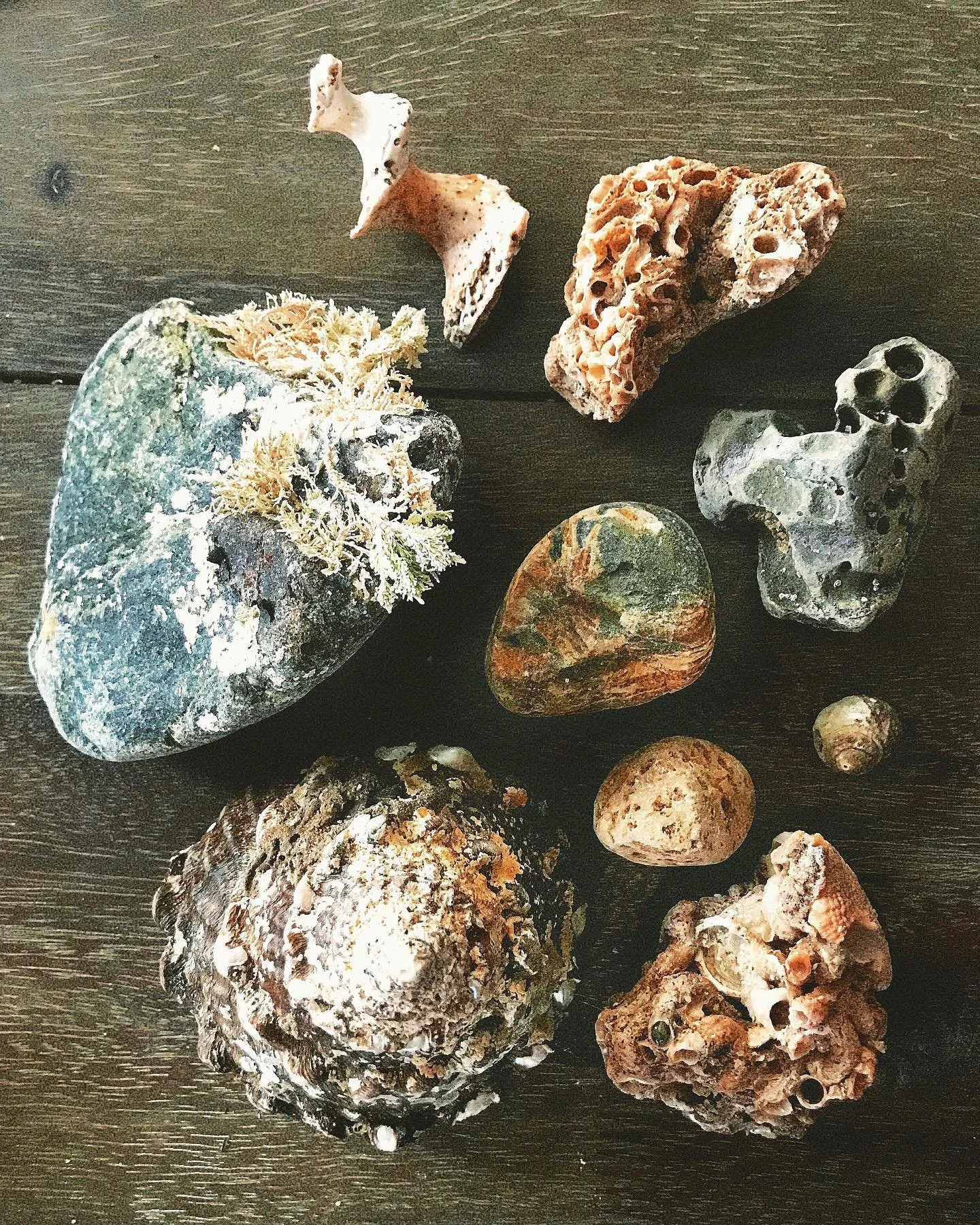 #nature #healingpowerofnature #landscape #photography #selfcare #healing #peace #peaceful #mentalhealth #therapy #shells #rocks #stones #pebbles #birdrock #lajolla #ocean #water #pacificocean #rockart #relaxing