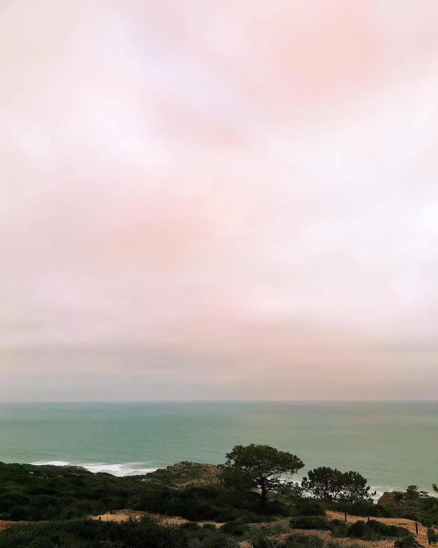 #nature #healingpowerofnature #landscape #photography #selfcare #healing #peace #peaceful #mentalhealth #therapy #torreypines #lajolla #ocean #water #pacificocean #rockart #relaxing