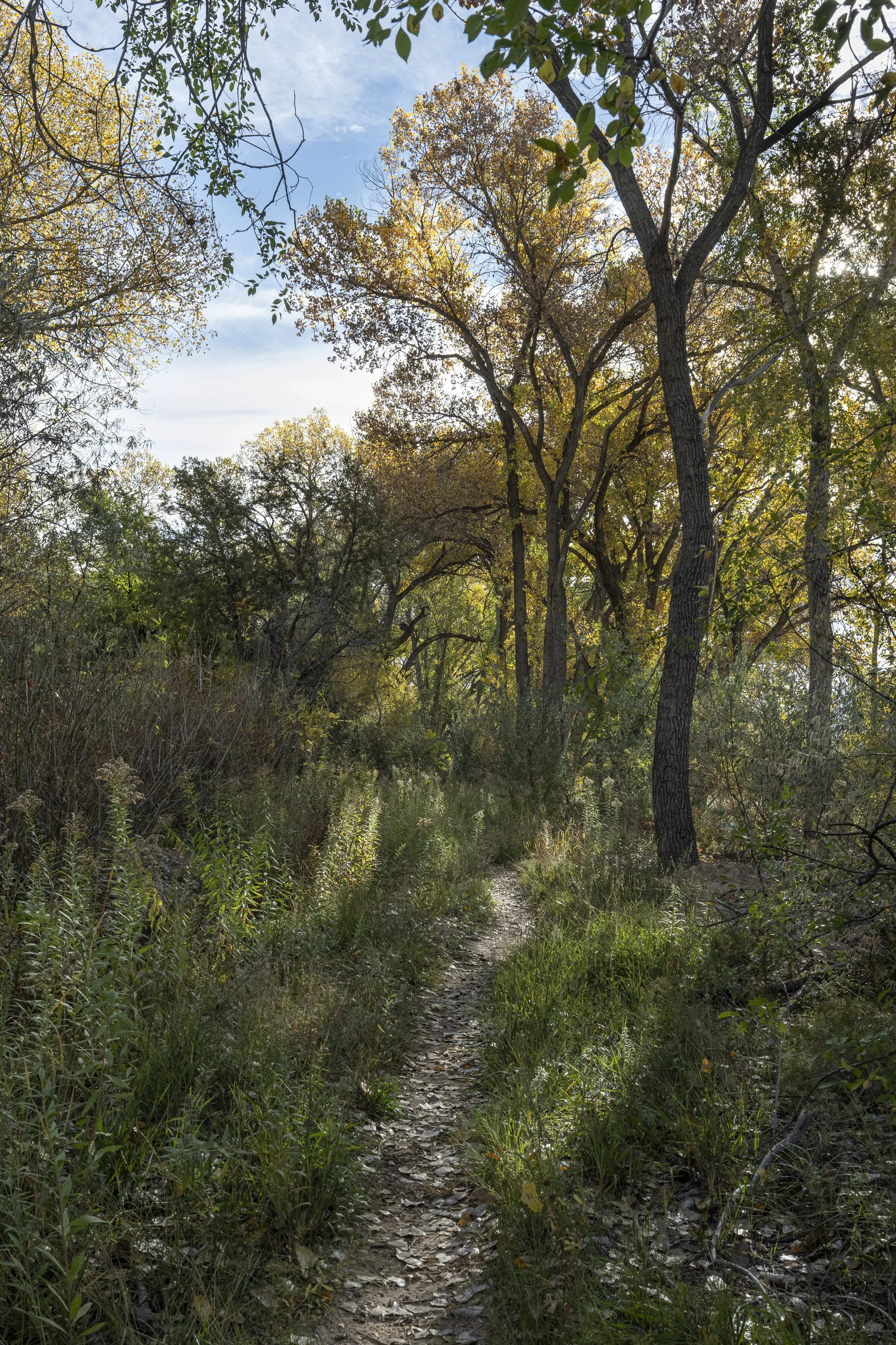 06-DSC_2504.jpg