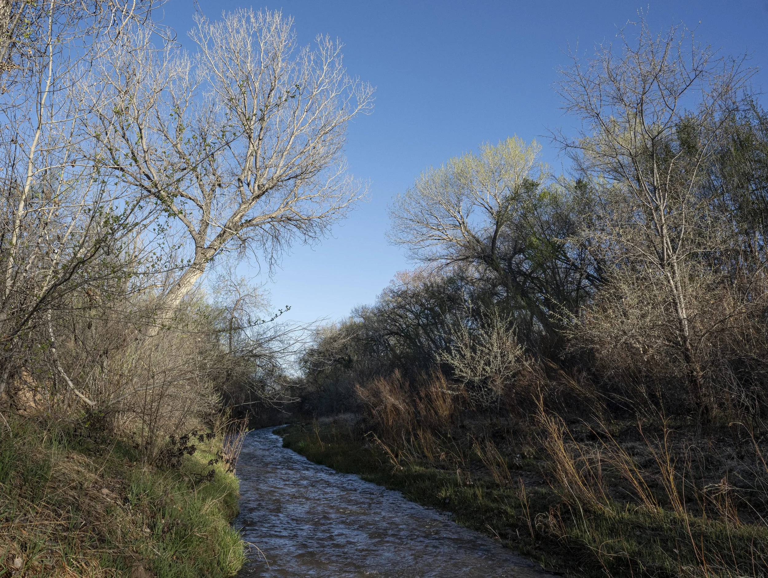 10-DSC_0242.jpg