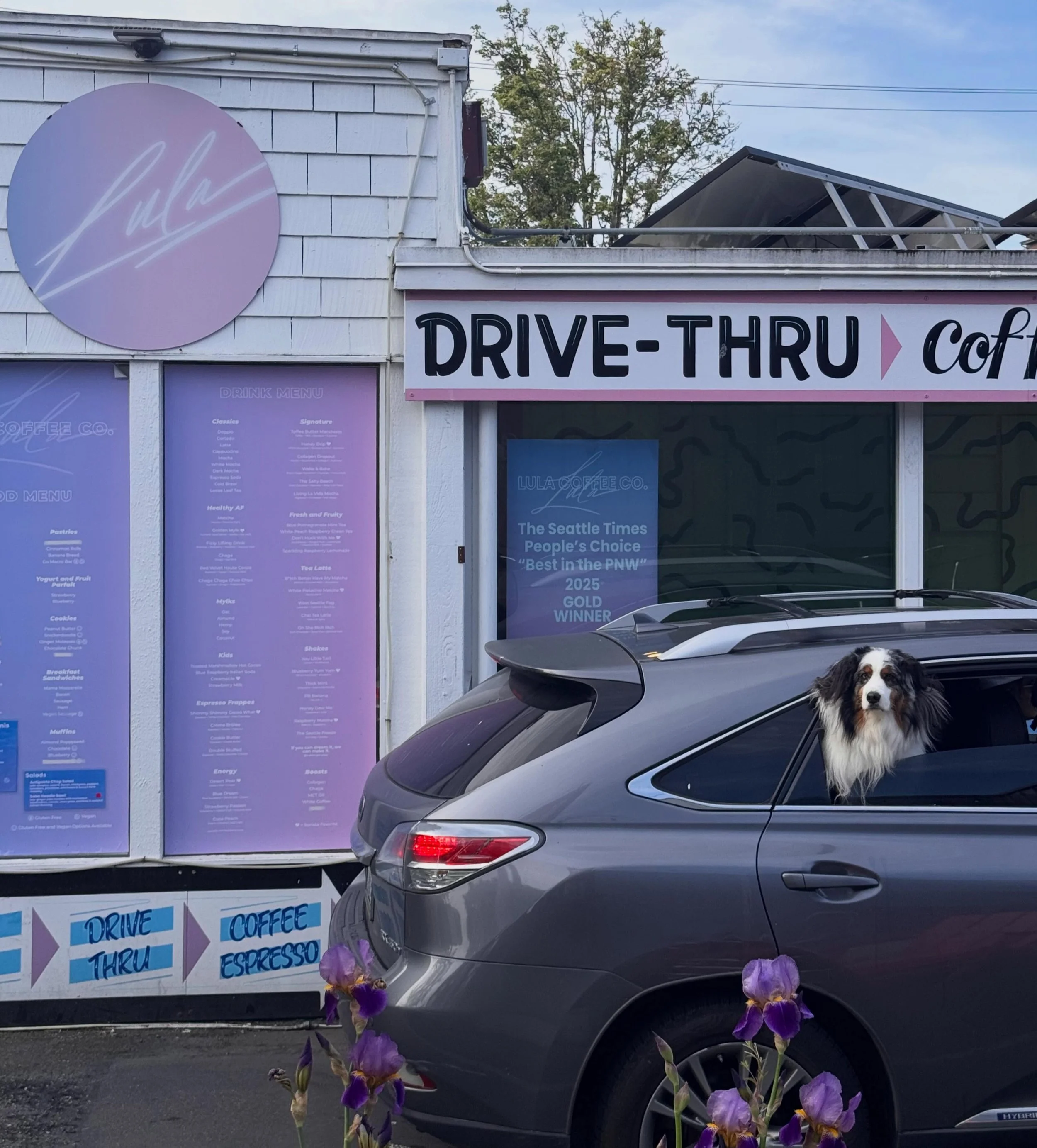 early morning drive-thru runs💜