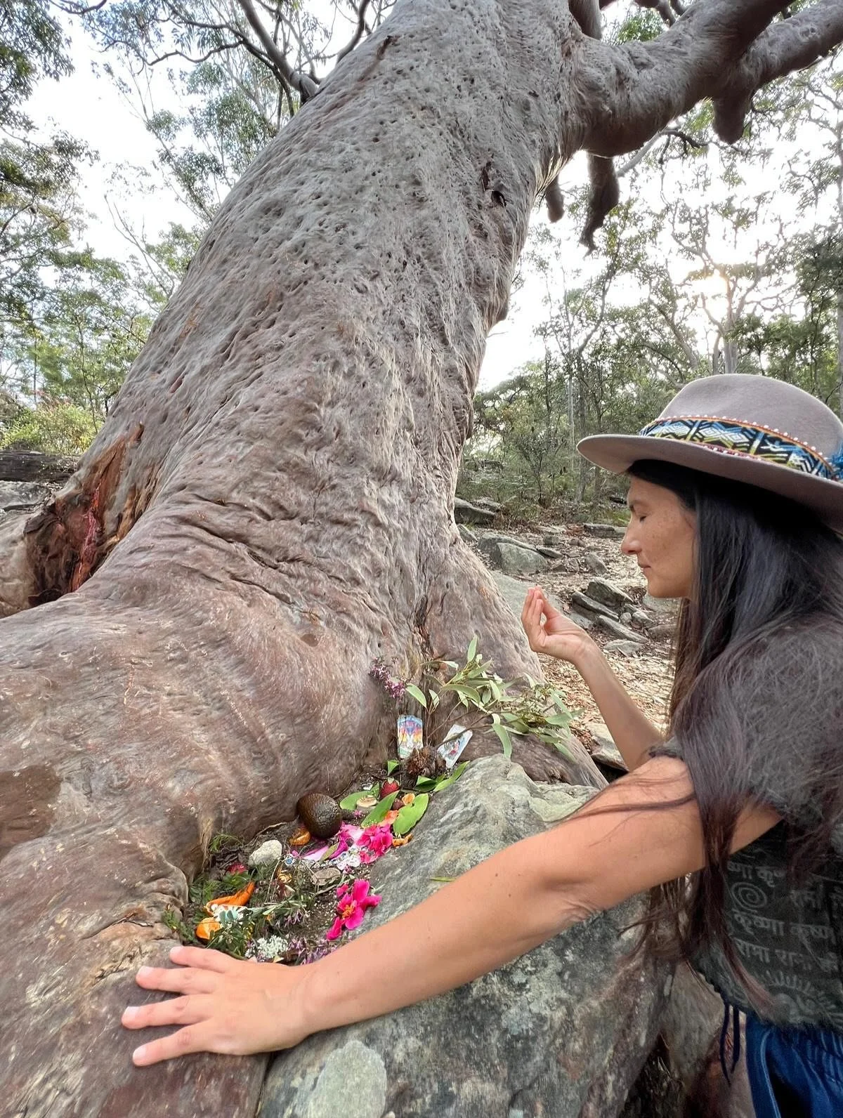 Oh Grandmother Tree, standing so tall beyond this dimension. 🌳🌌🌀

I honor you, respect you and thank you. 🙏 

Offerings from the heart to this majestic being, the land, Spirit. Simply no words.

Thank you for guiding me to your infinite loving pr