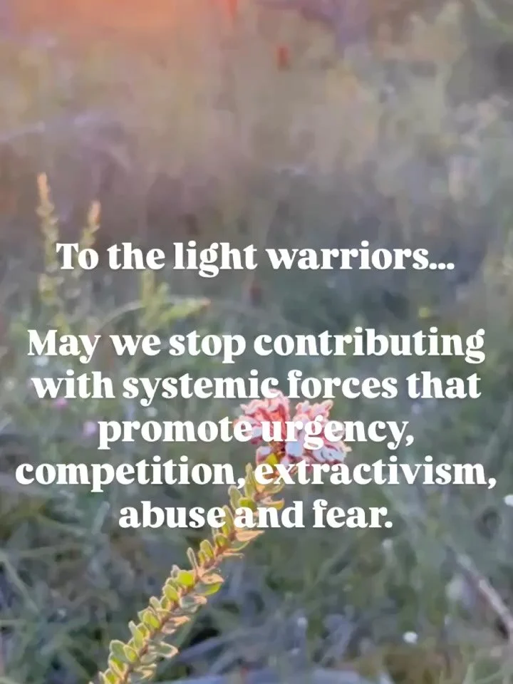 To the light warriors💫

May we have the courage to stop contributing with systemic forces that promote urgency, competition, extractivism, abuse and fear.

May we know ourselves so deeply to live a life aligned with our hearts in direct connection w