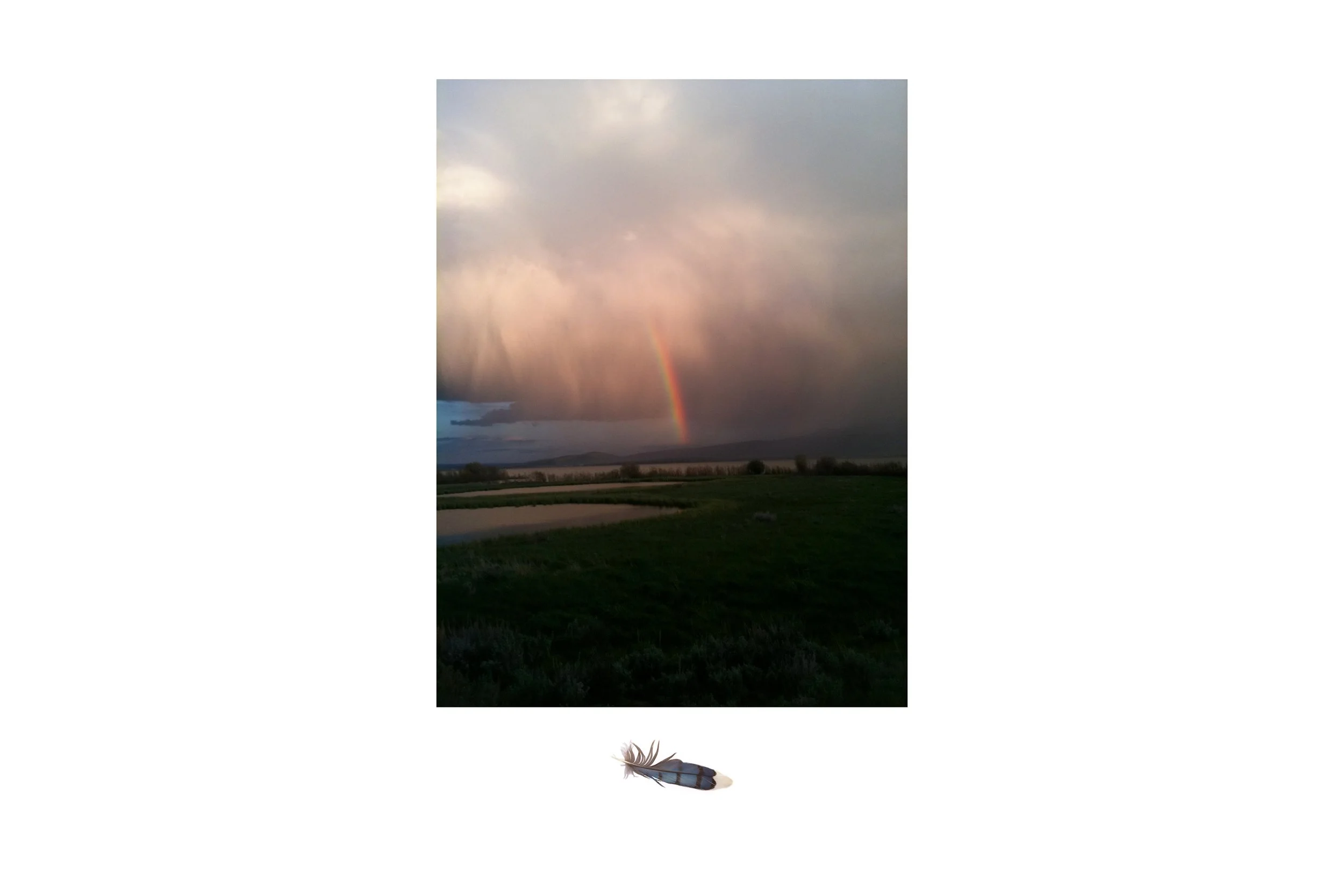 KATIE_2026update_029.JPG