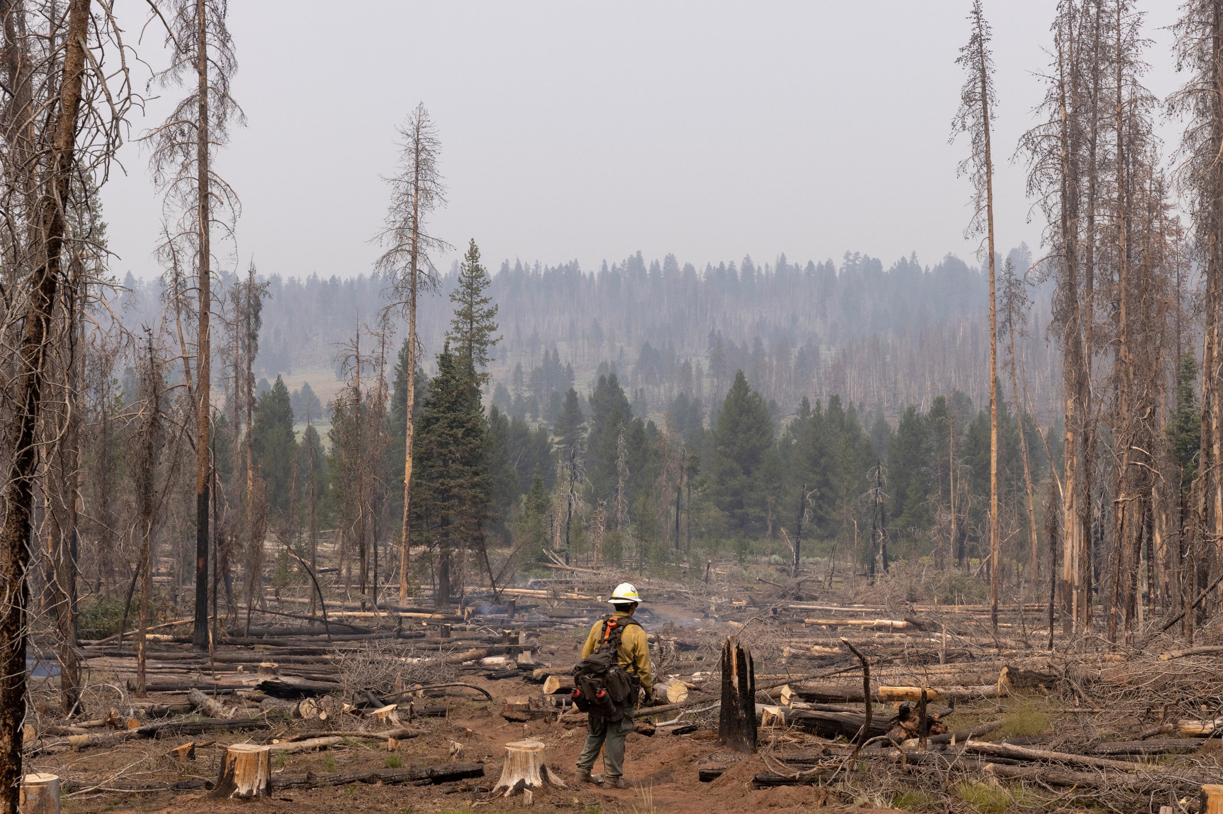 A firefighter in yellow gear and a helmet walking through a burned forest with charred trees and stumps, and smoke in the background.