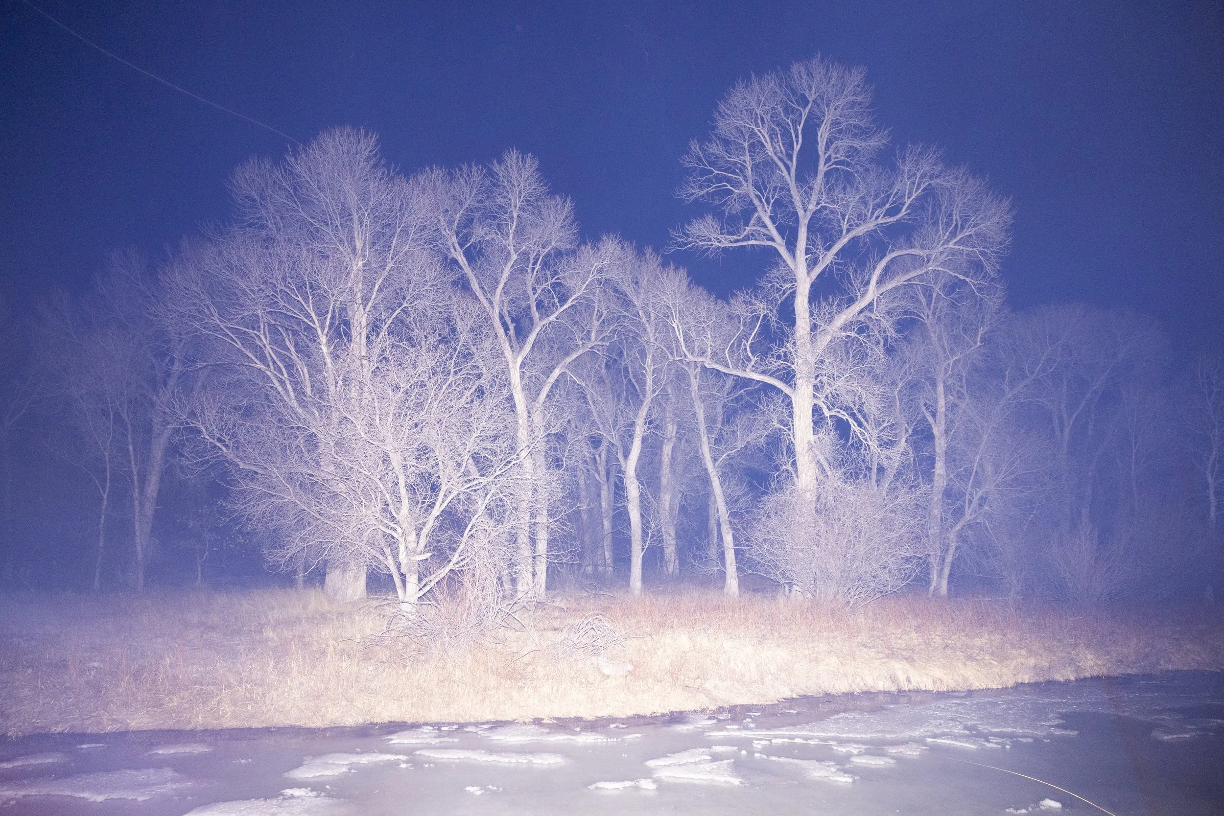 WINTER PRINTS021.JPG