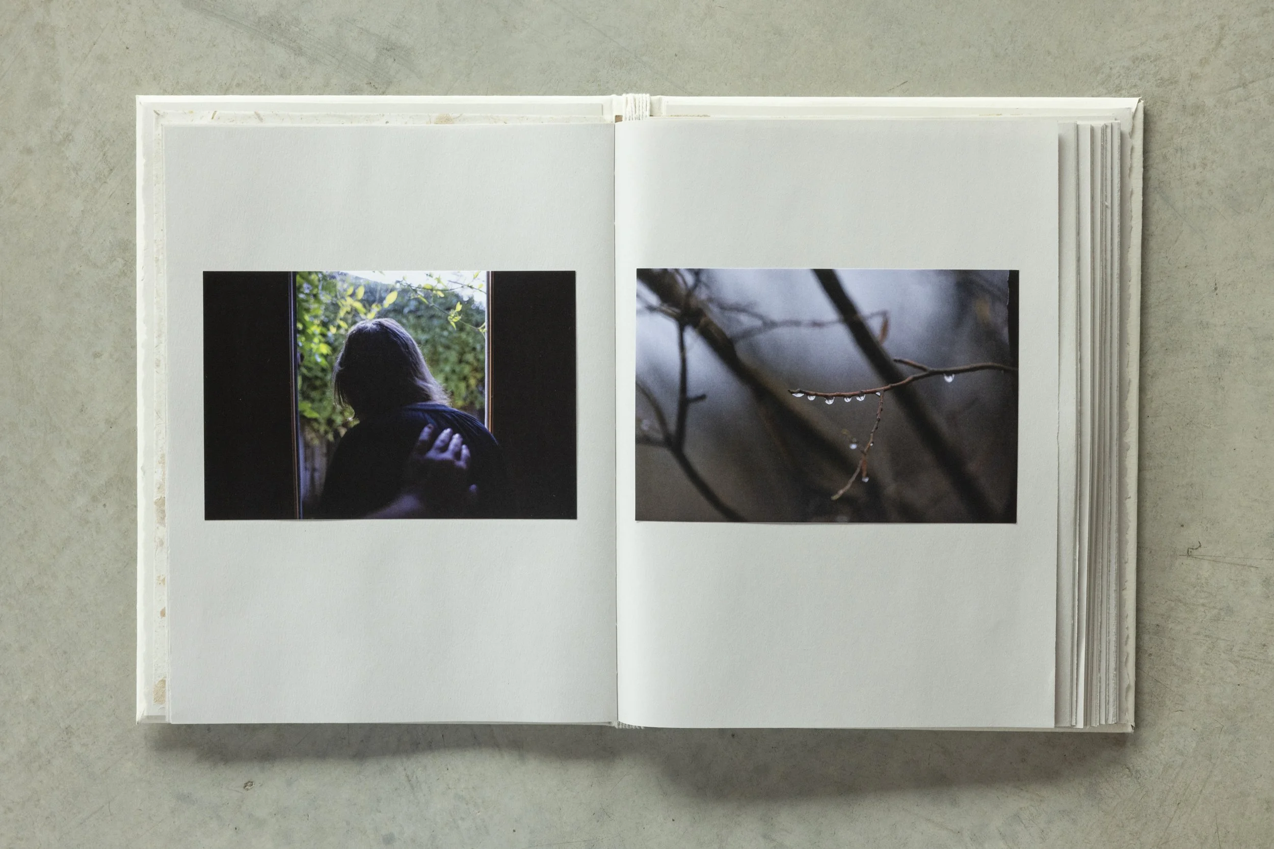 Open photo album with two pages showing nature photographs, one of a person with shoulder-length hair looking out a window, and the other of a branch with water droplets.