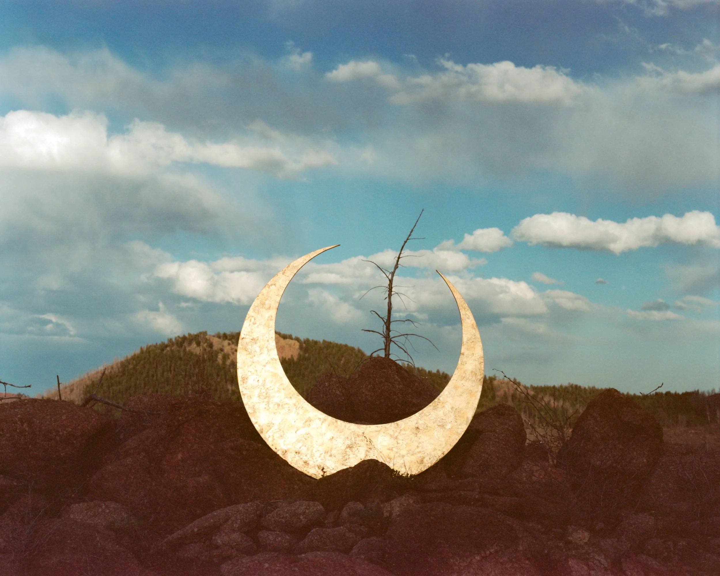 2026_LUCID DREAMING021.JPG