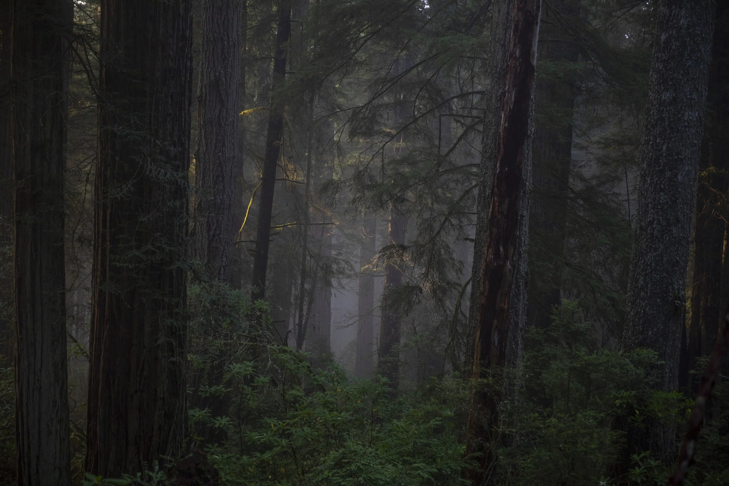 EARTH IS MAGIC032.JPG