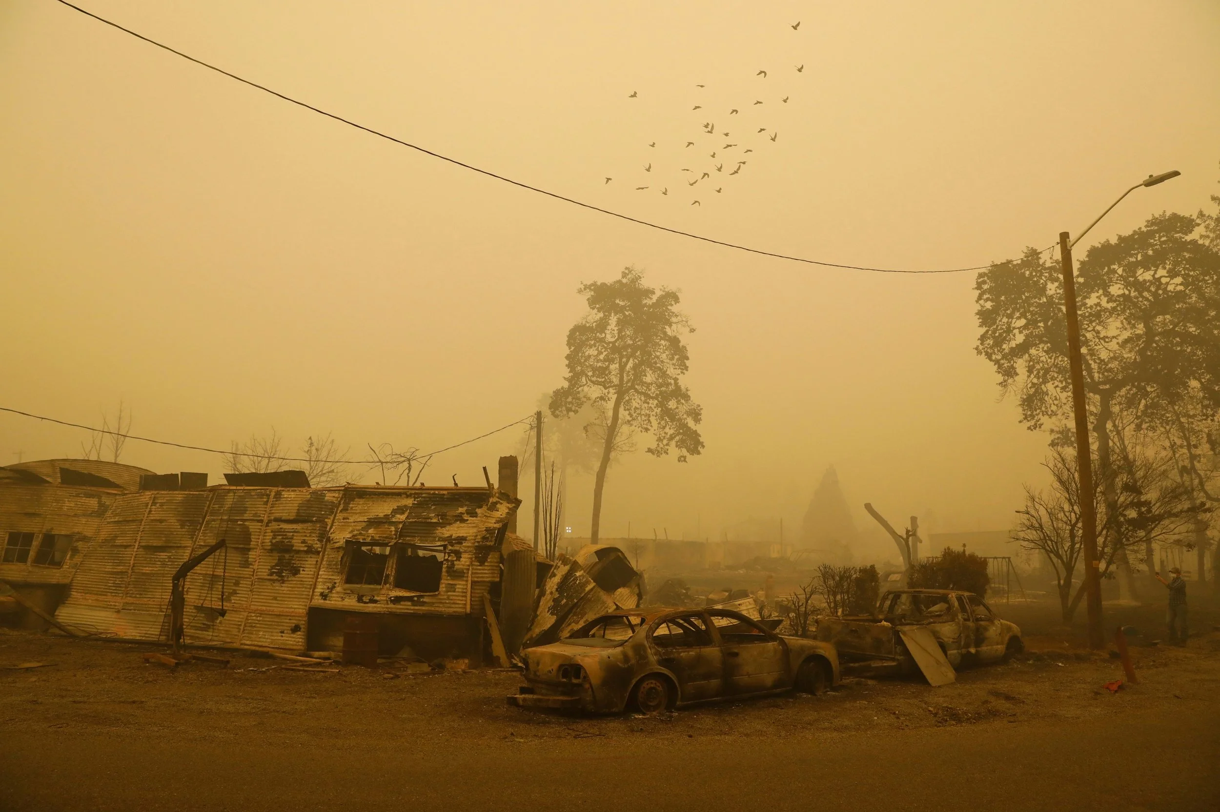A scene of destruction with burned cars and damaged buildings, smoke-filled sky, and a flock of birds flying overhead during wildfires in Oregon.