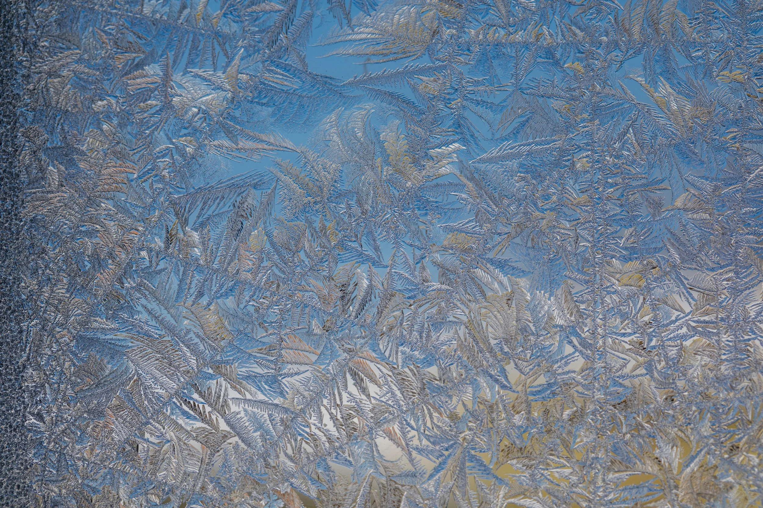 EARTH IS MAGIC030.JPG