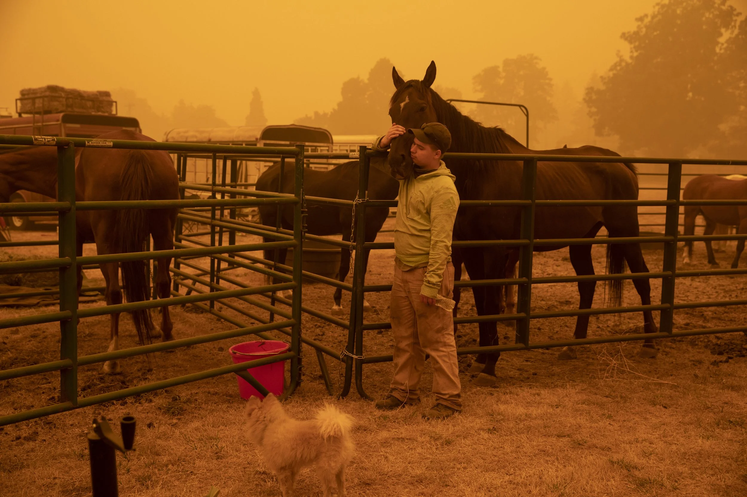 A person in a beige jacket and cap tending to a brown horse behind a metal fence. The background shows an orange sky with several trees and trailers, suggesting a wildfire nearby in Oregon.