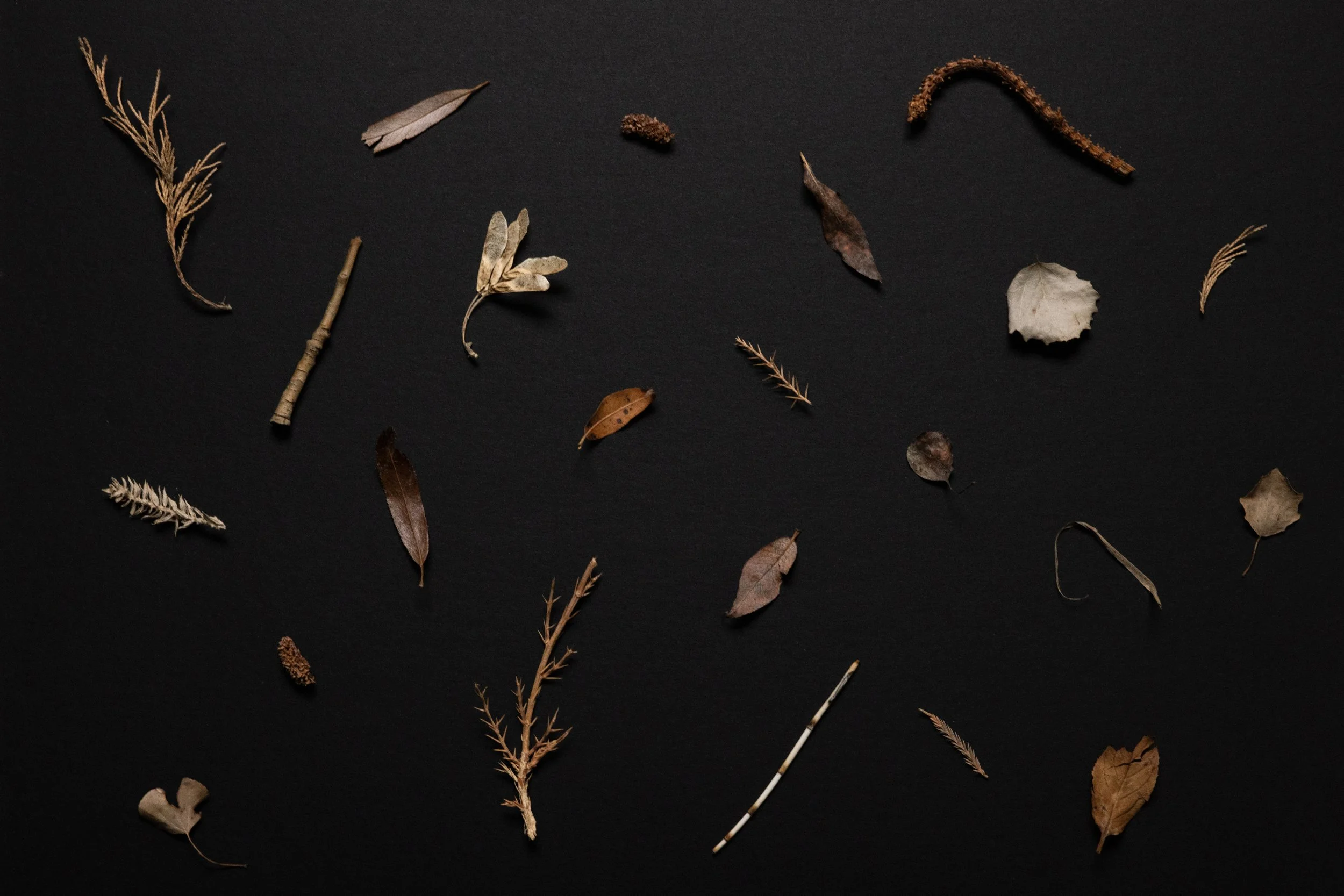 THE FOUND005.JPG