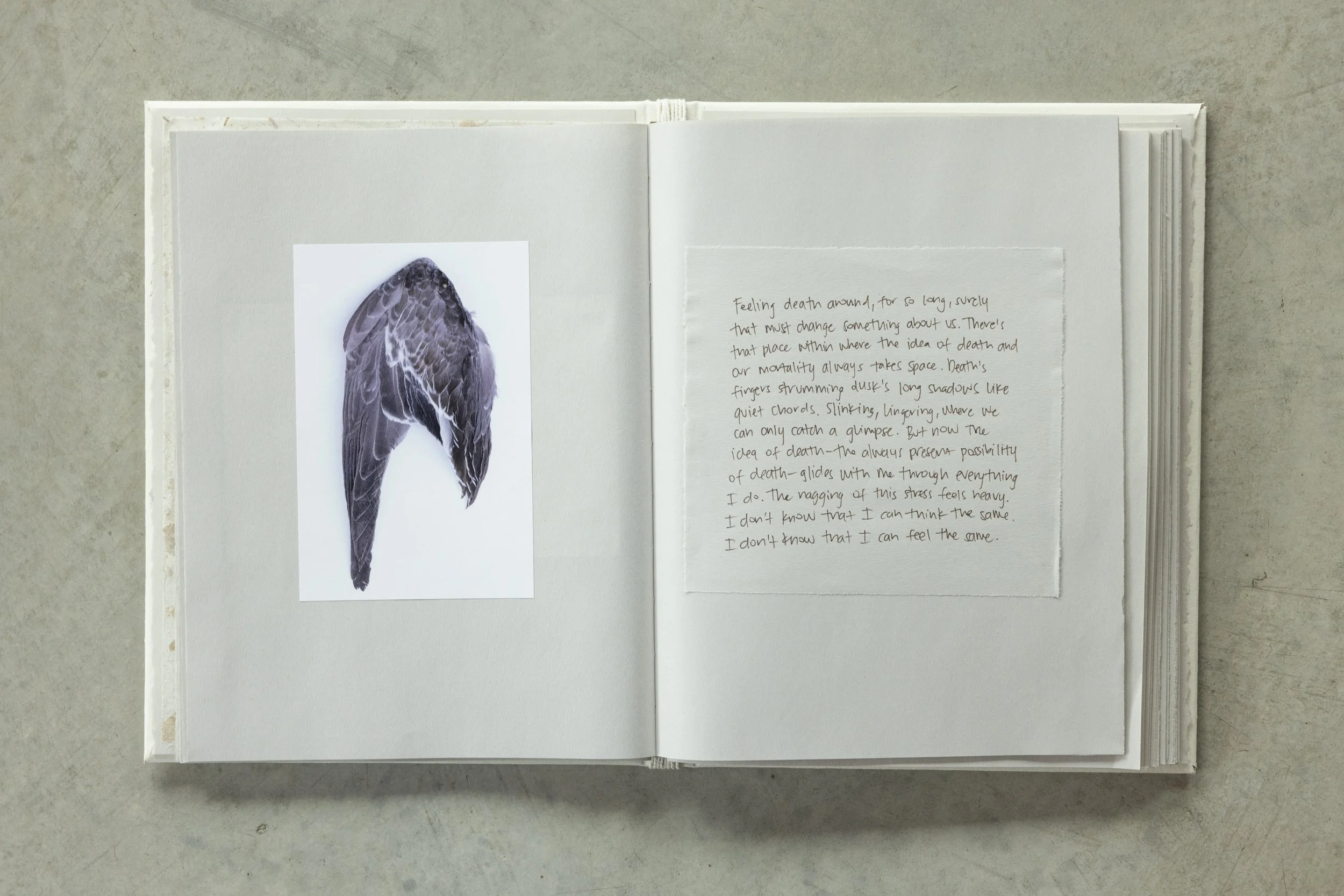 Open notebook with handwritten text on the right page and a monochrome bird illustration on the left page, placed on a concrete surface.