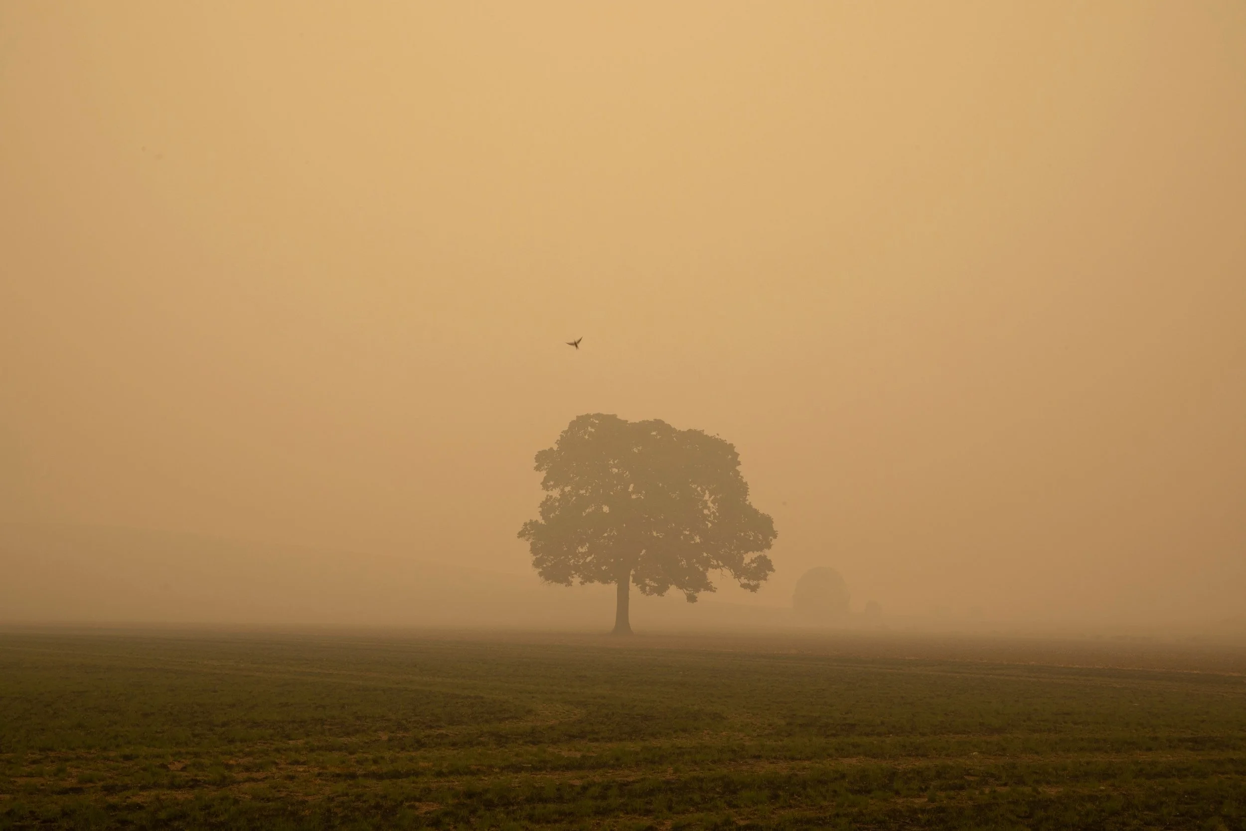 EARTH IS MAGIC036.JPG