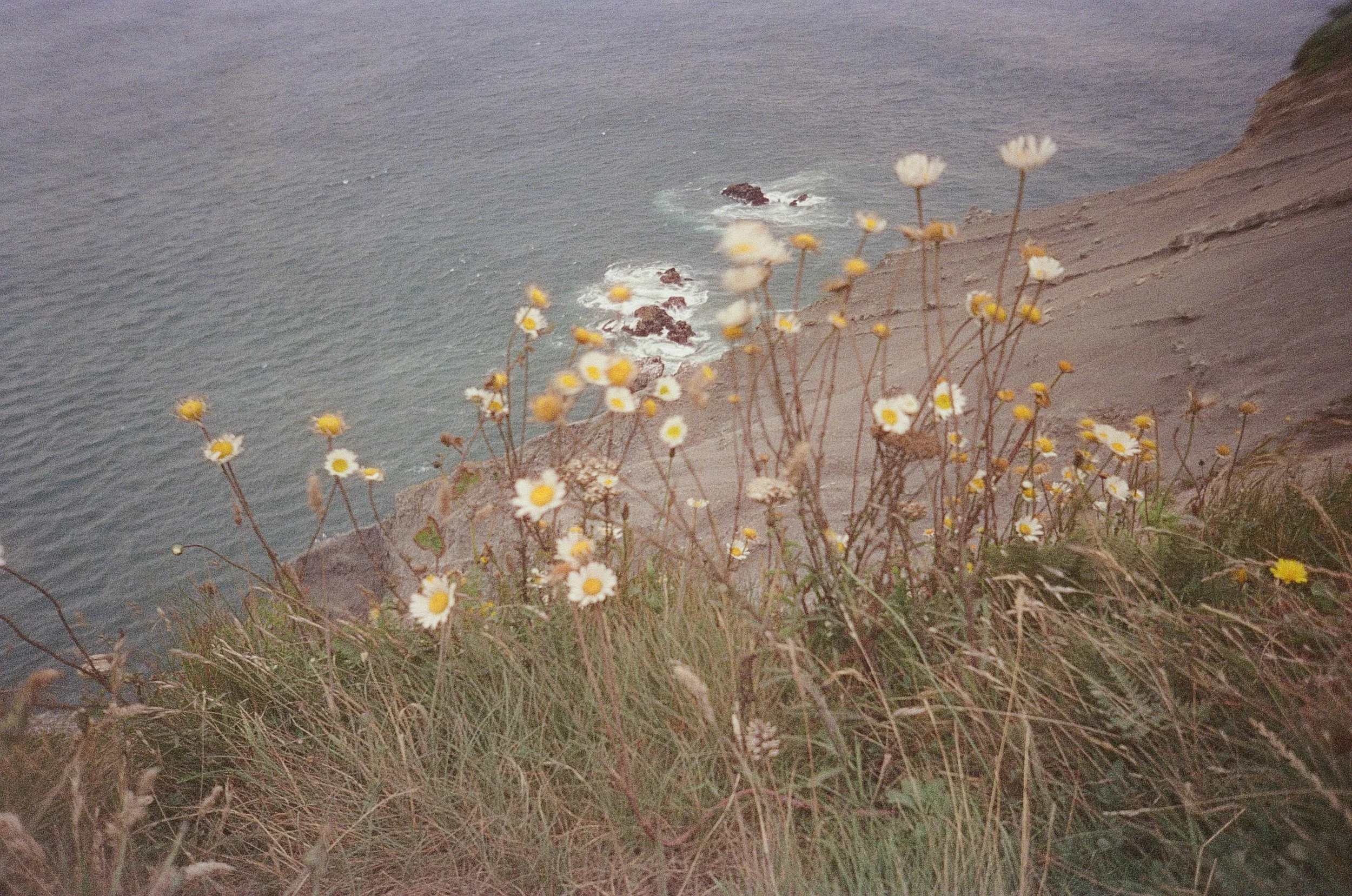 ROLL020-0726-WEDDING and WHALES030.JPG