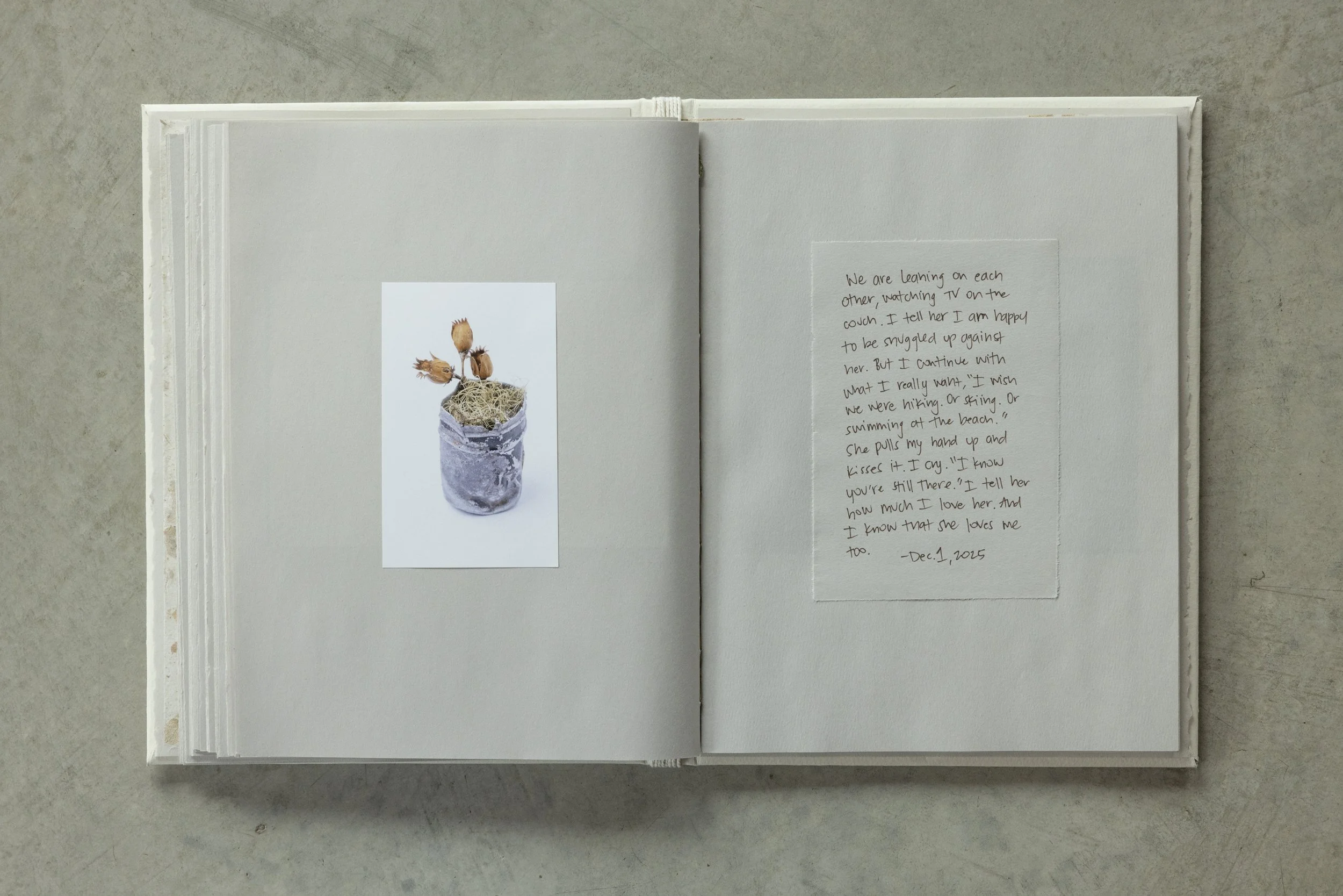 Open notebook with handwritten notes on the right and a printed picture of a plant in a jar on the left.