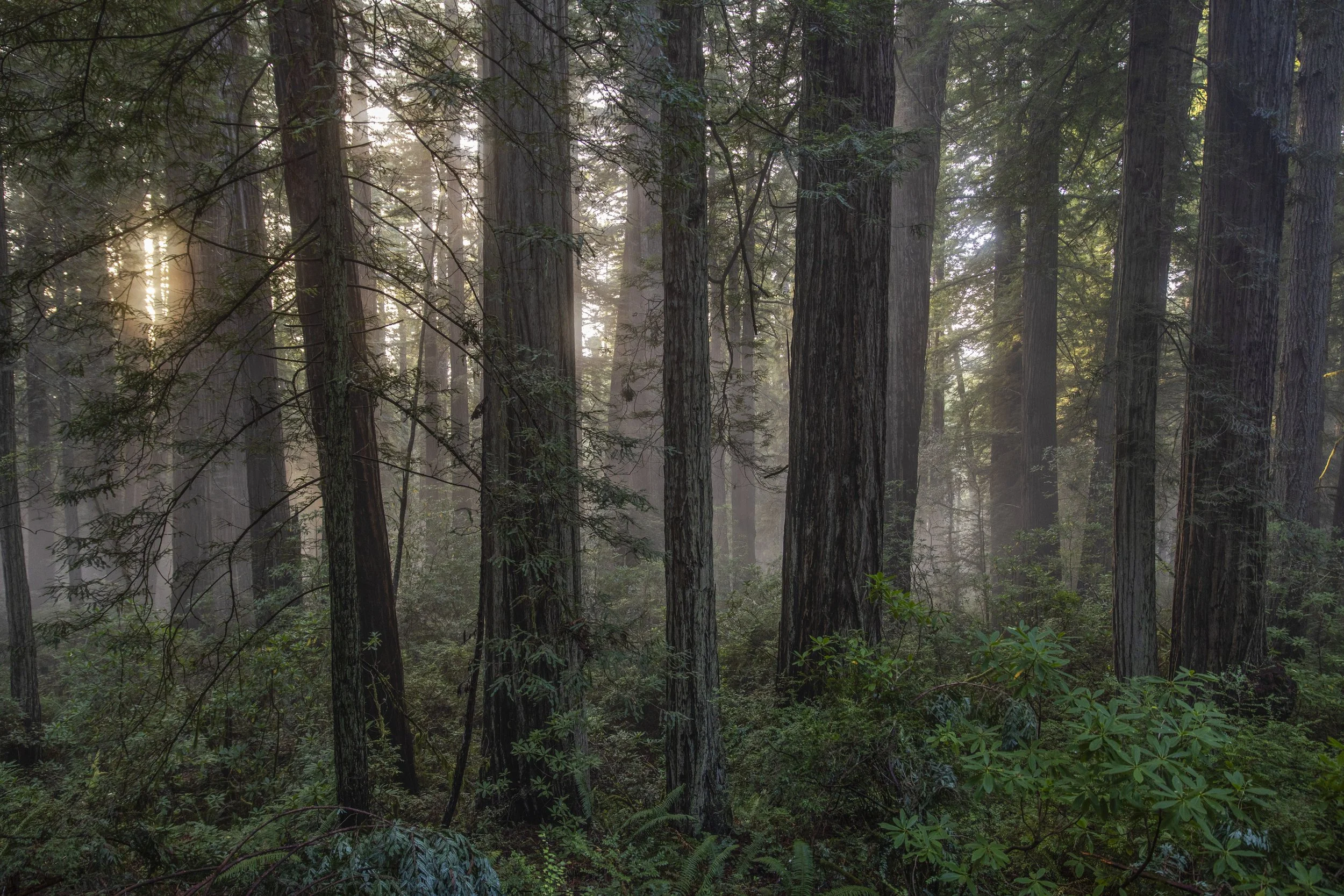EARTH IS MAGIC029.JPG