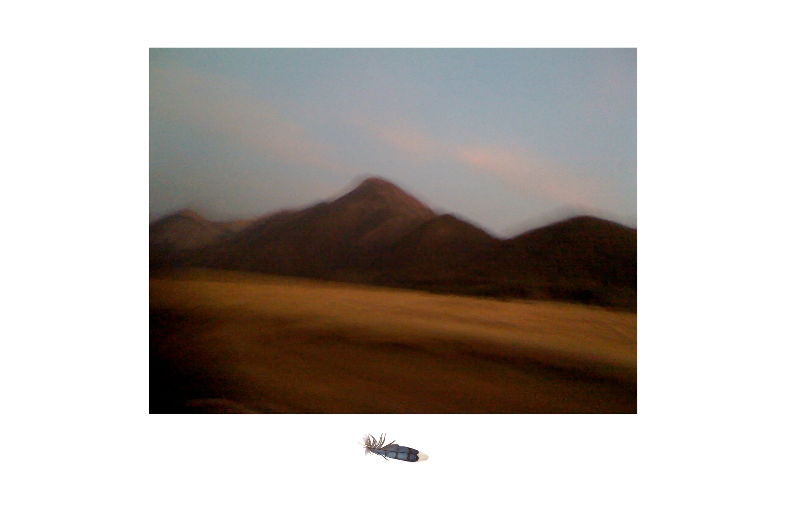 KATIE_2026update_041.JPG