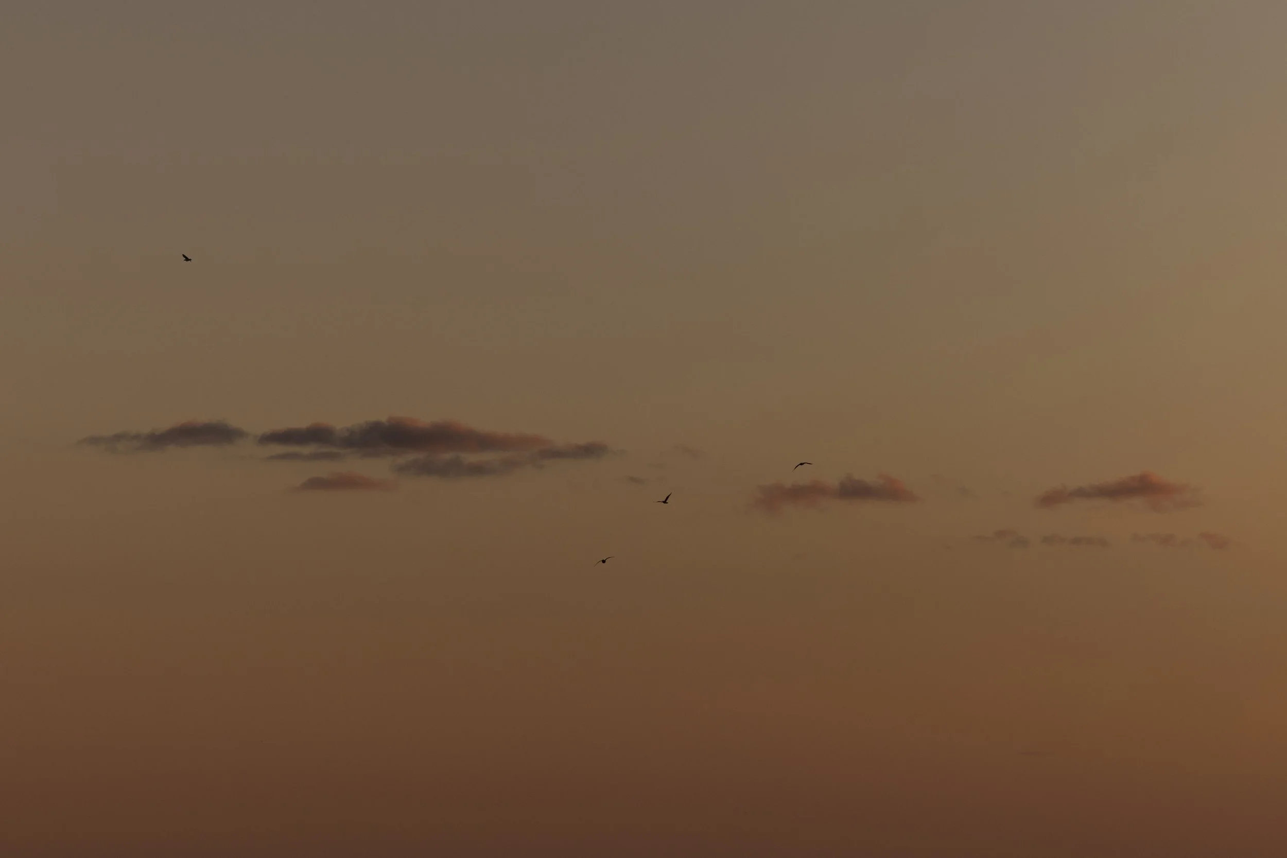 EARTH IS MAGIC037.JPG