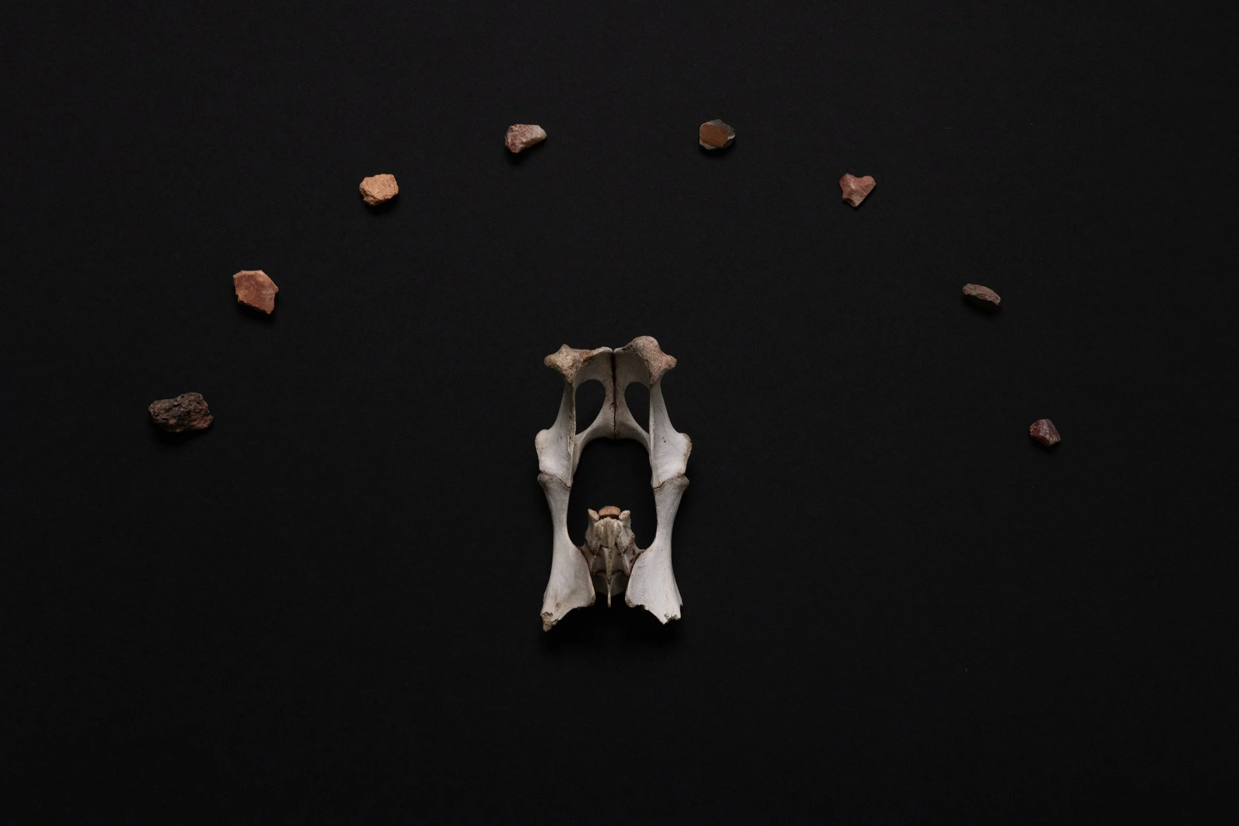 THE FOUND004.JPG