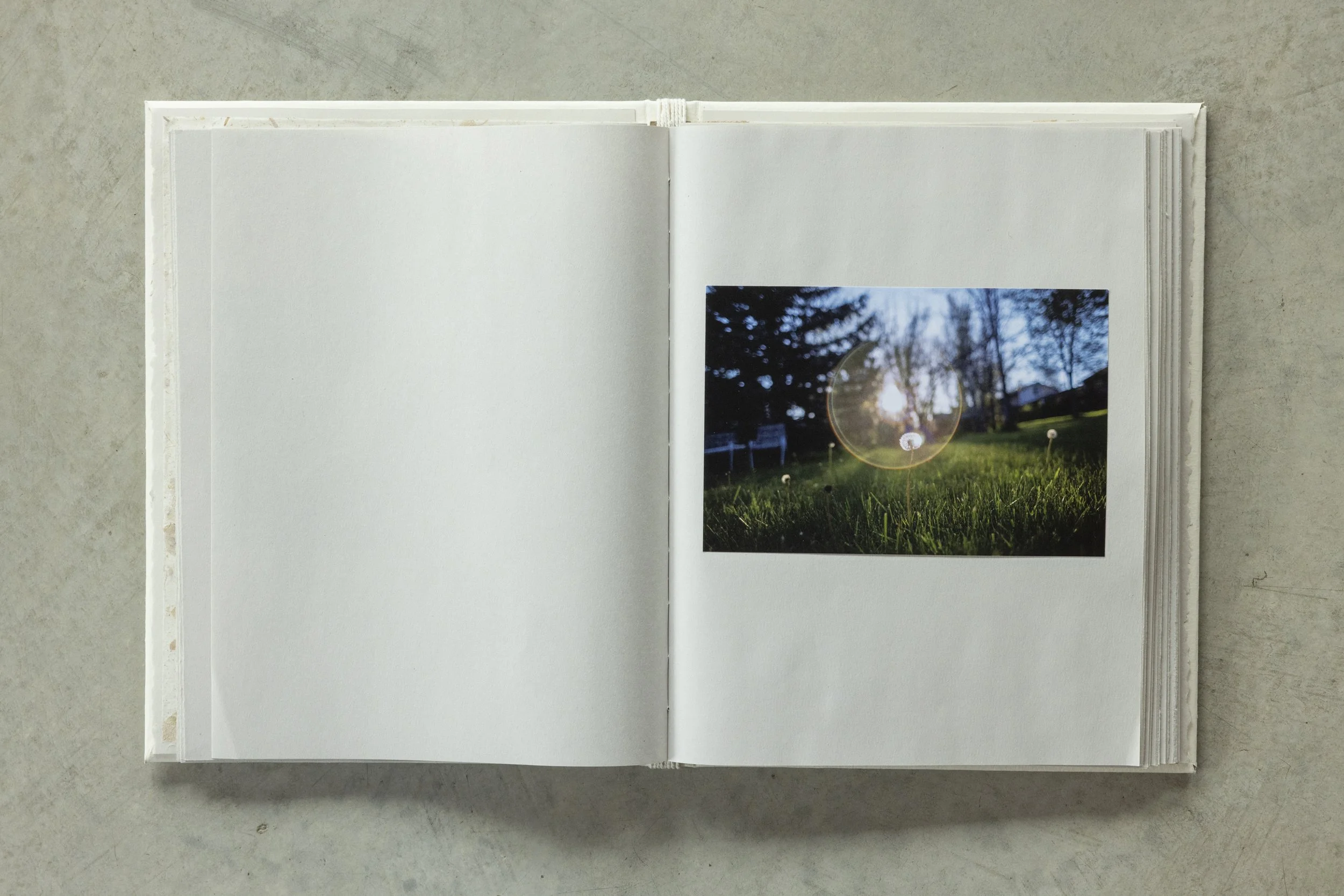 Open photo album with a landscape photo of a park at sunset, showing trees and a grassy area.