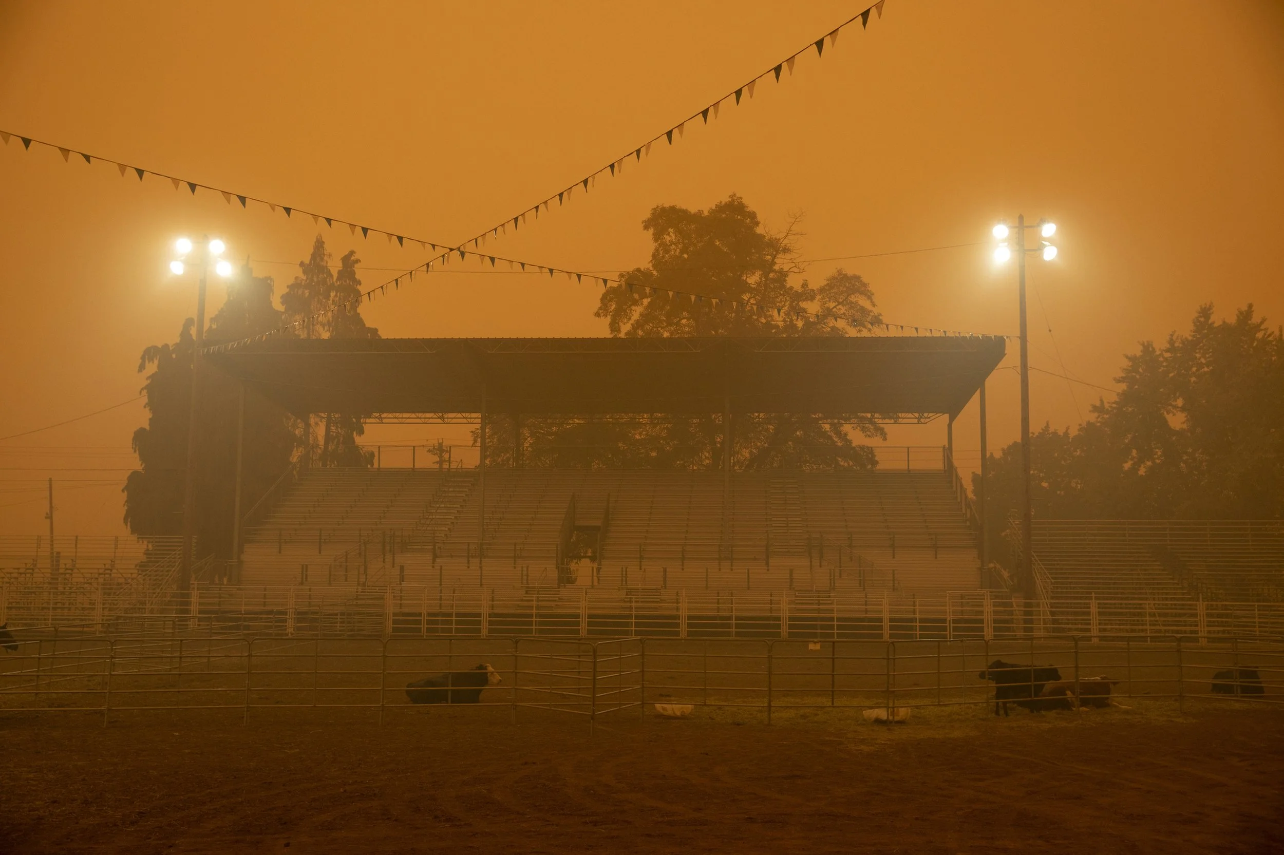 A smoky outdoor stadium with bleachers, tall trees, and bright stadium lights during wildfires in Oregon.