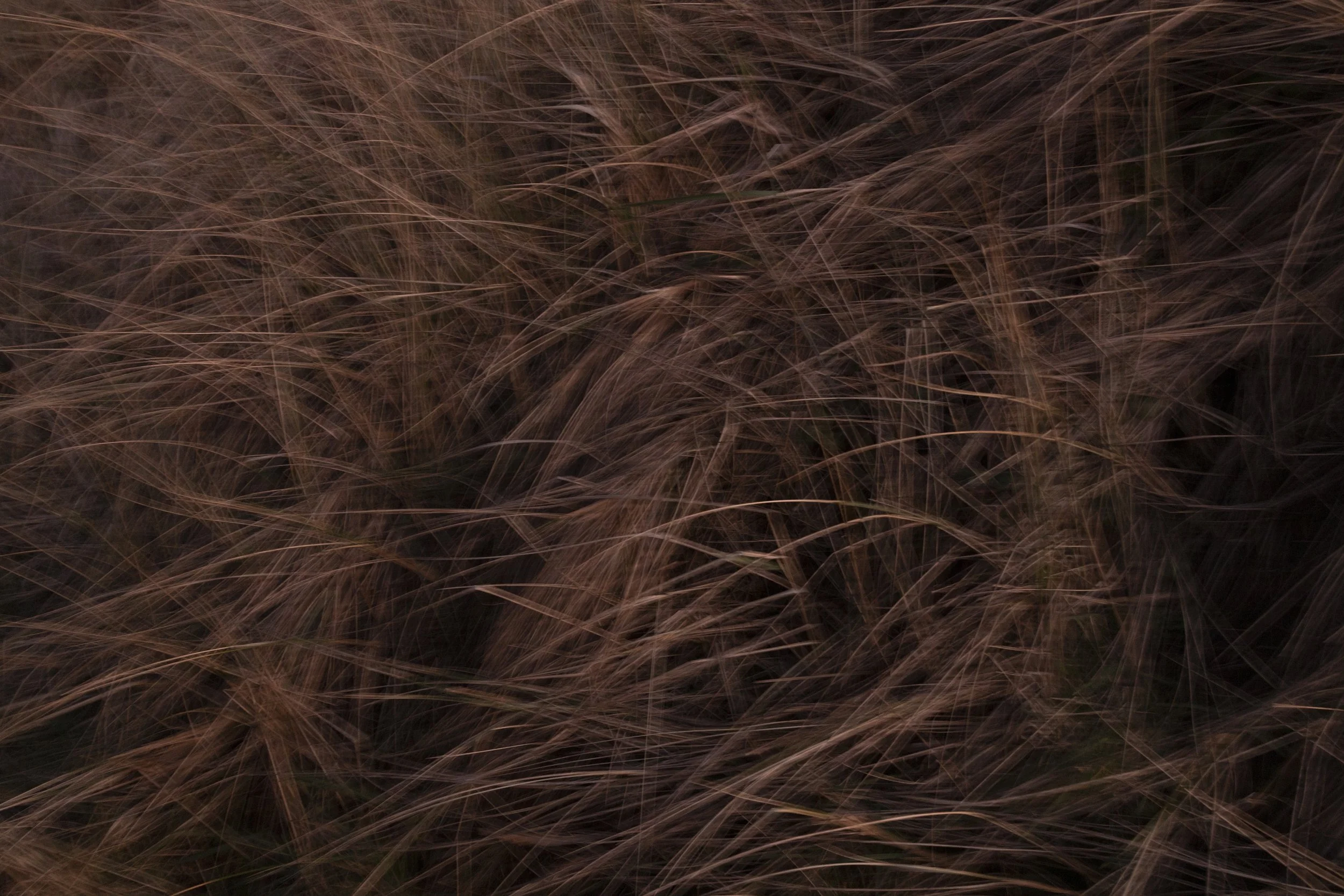 EARTH IS MAGIC038.JPG