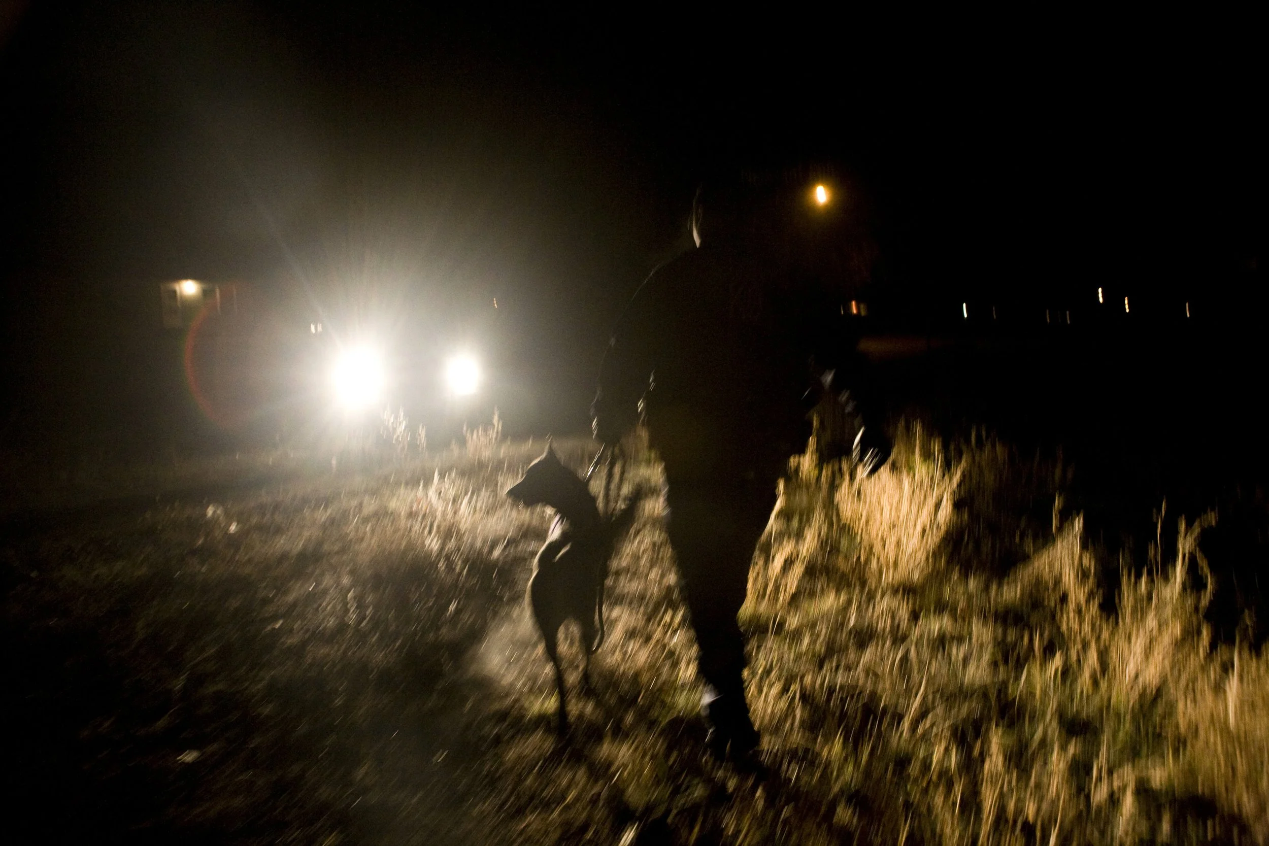 A person walking outdoors with a dog at night illuminated by bright headlights, with a dark sky and faint lights in the background.