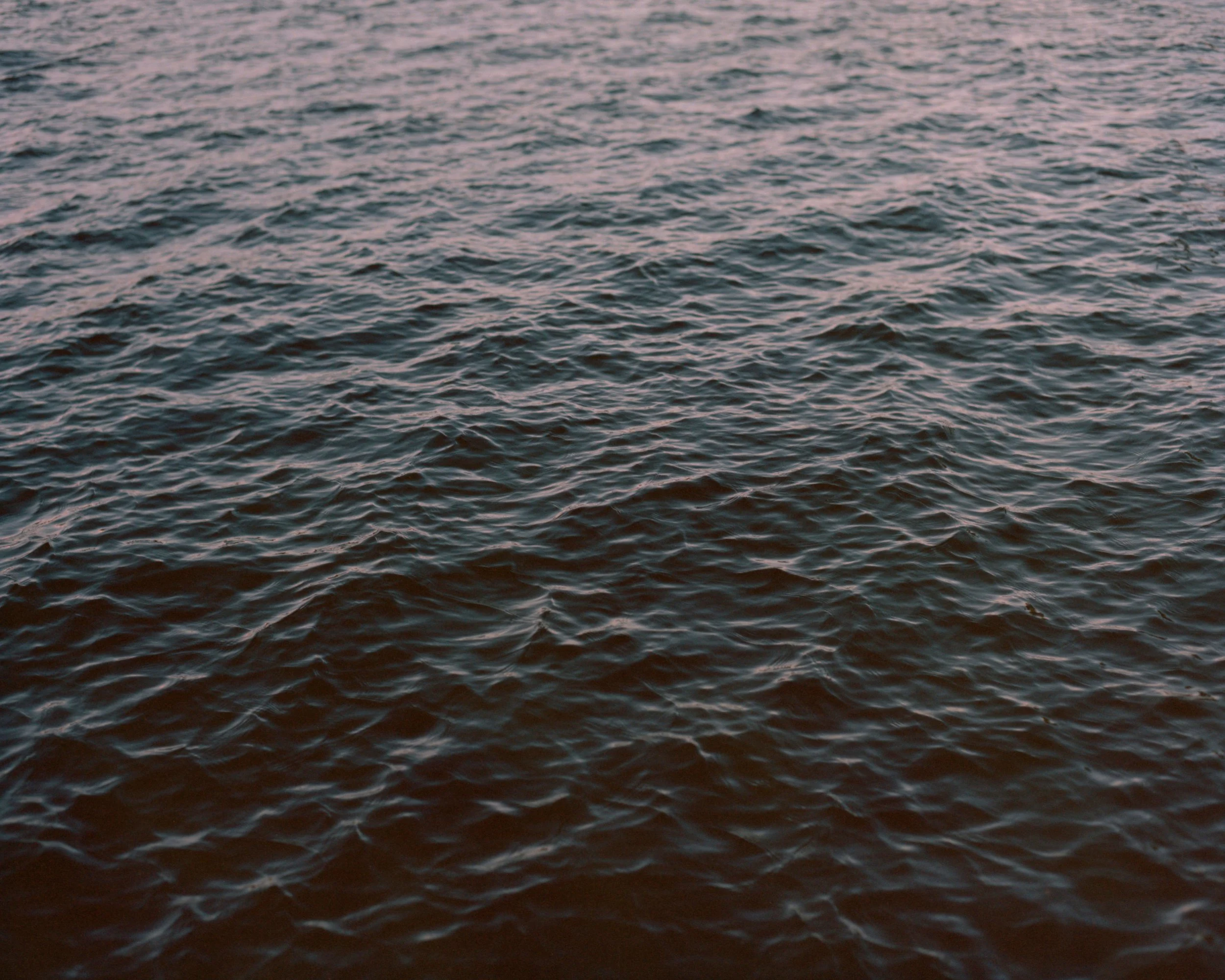 2026_LUCID DREAMING027.JPG