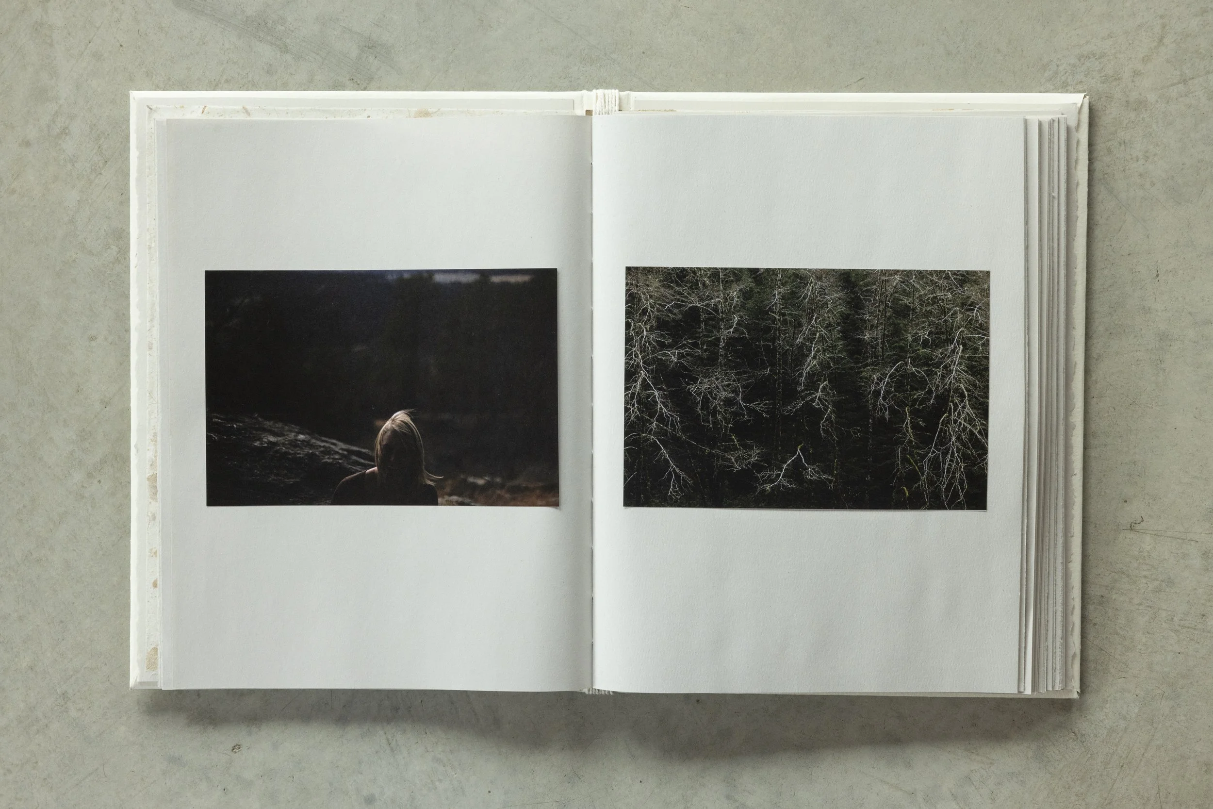 Open photo album showing two photographs, one of a person sitting outdoors and another of leafless trees in a forest.