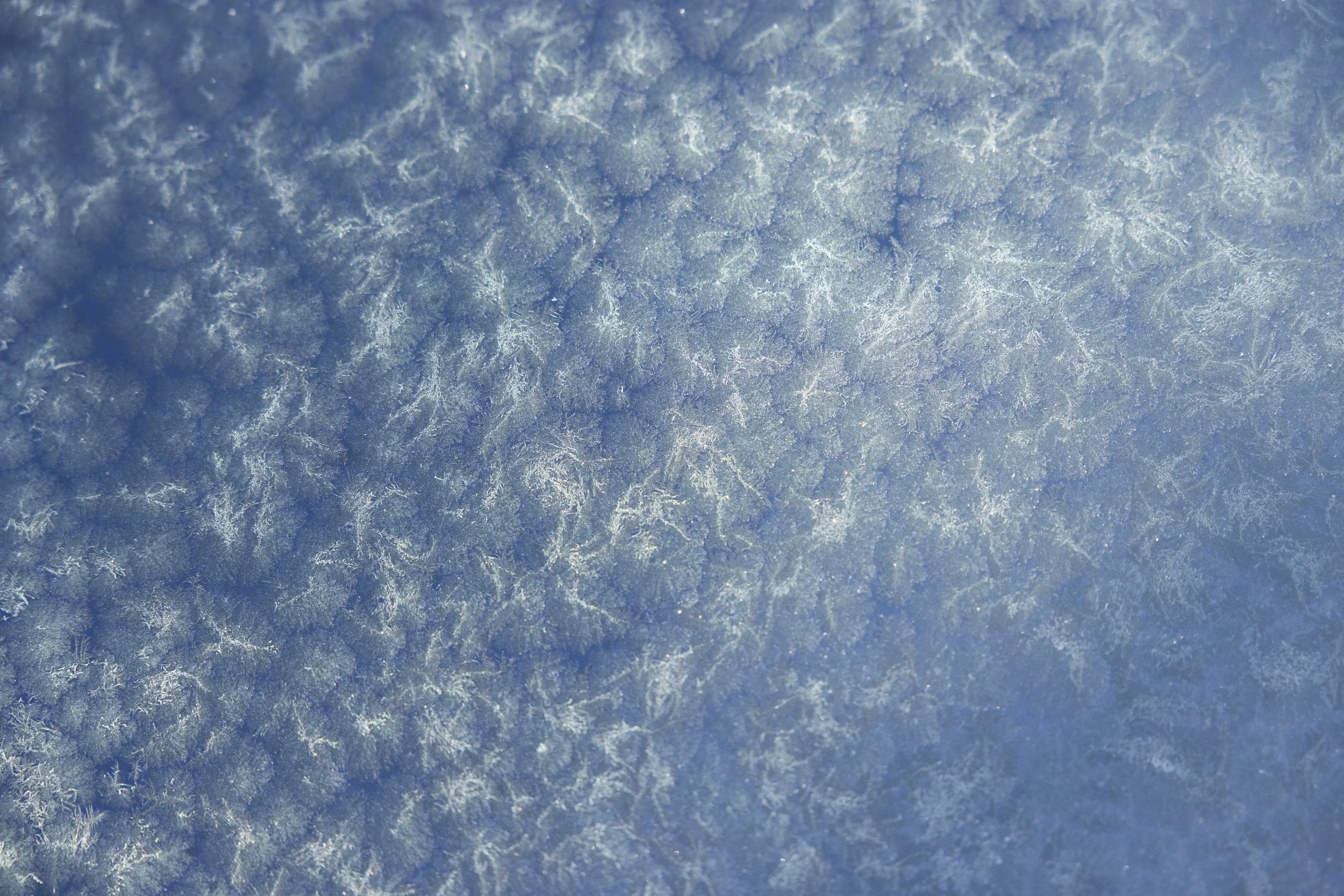 WINTER PRINTS012.JPG