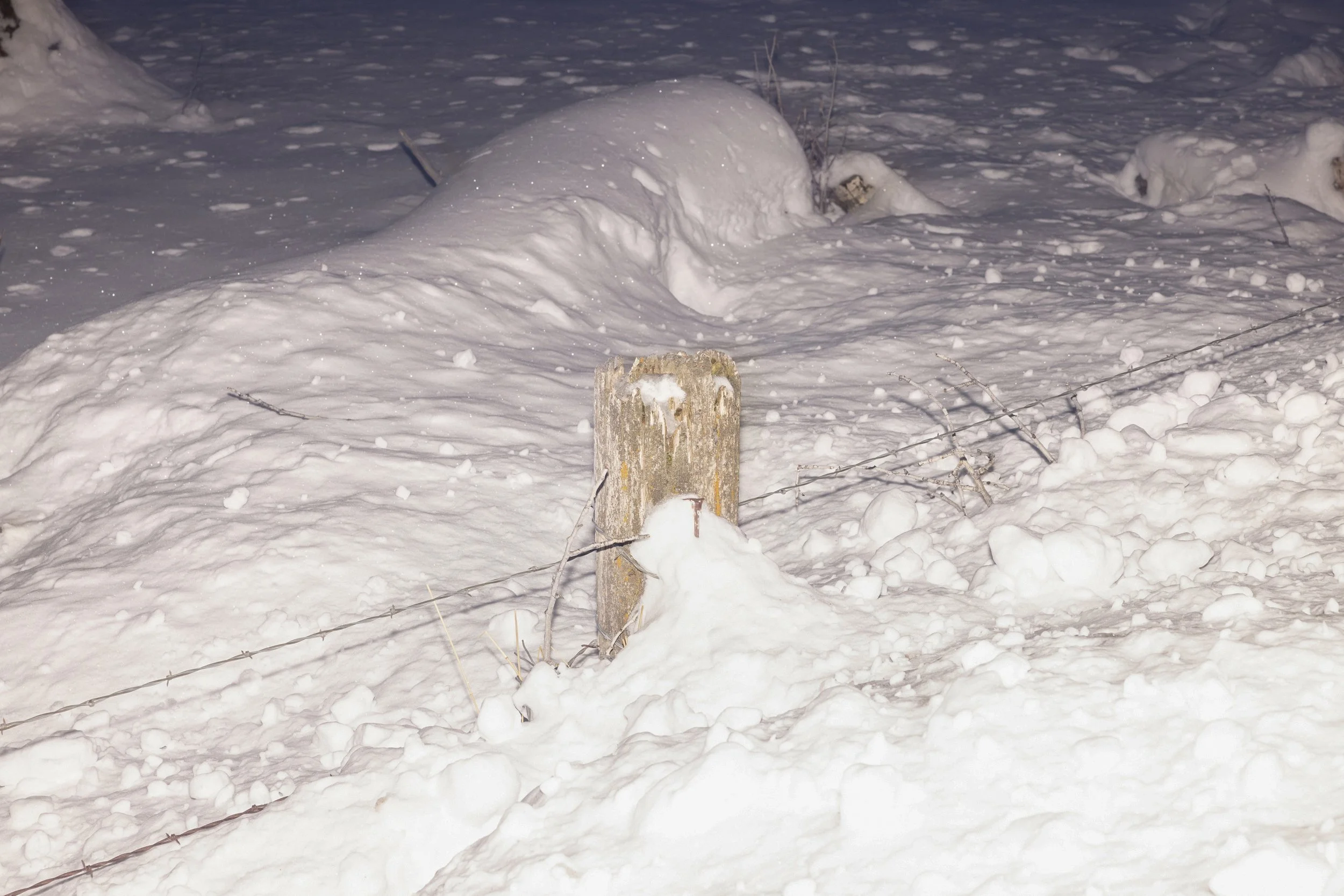 WINTER PRINTS027.JPG