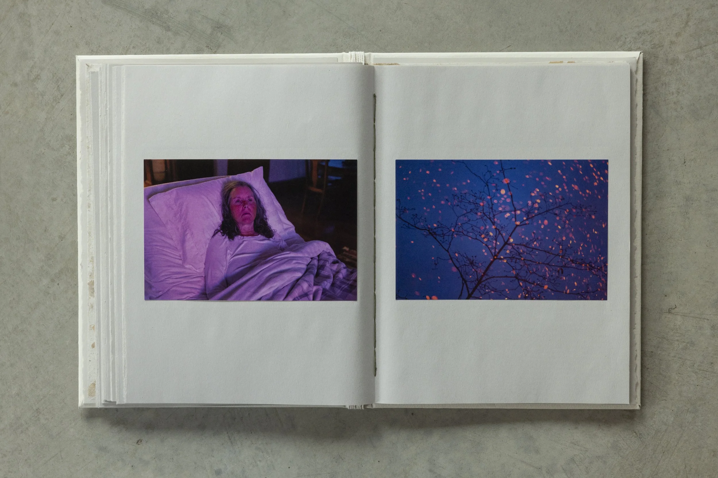 Open photo album showing two pages with photographs, one of a woman lying in bed and the other of a tree with pink leaves against a blue sky, placed on a concrete floor.