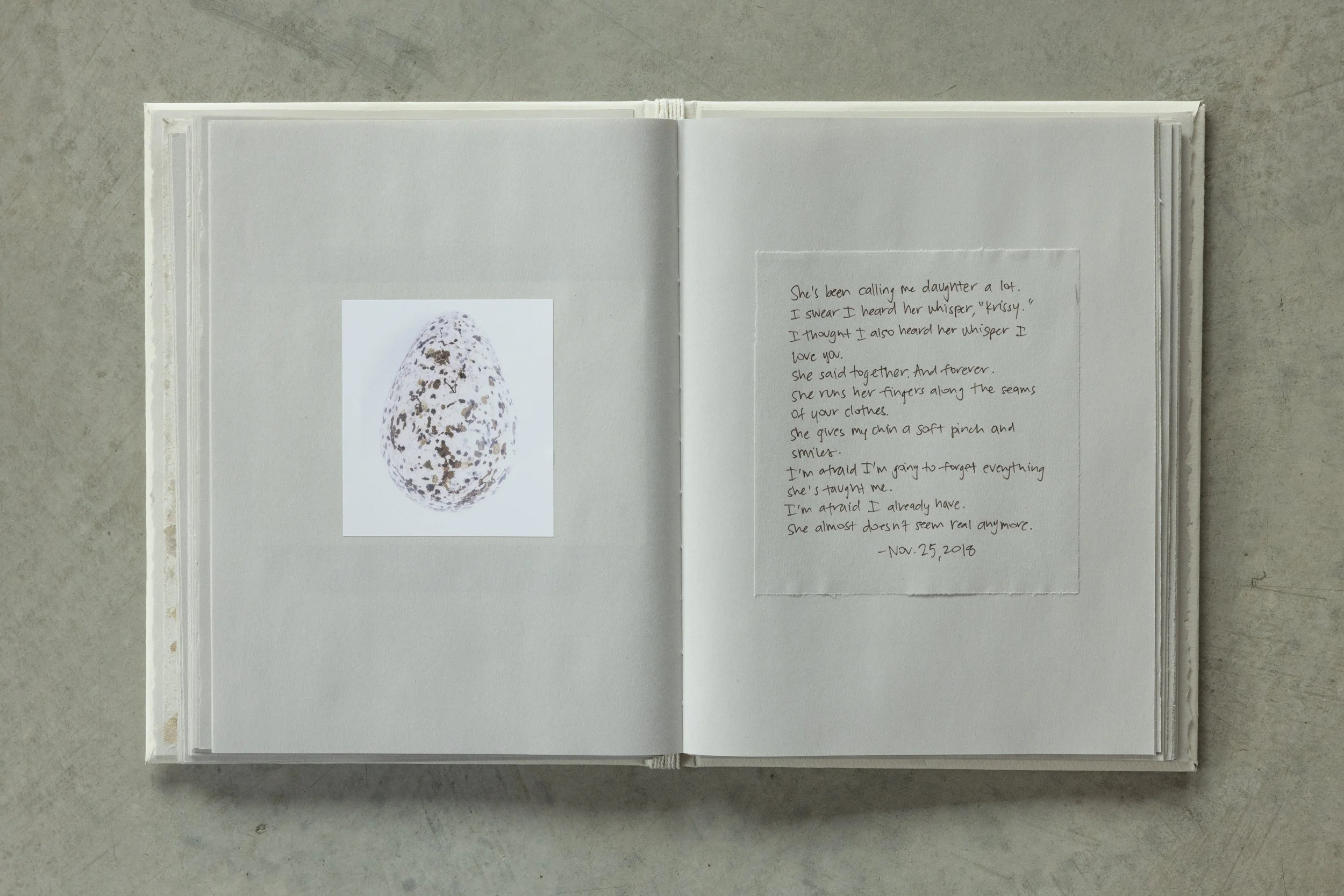 Open notebook showing a photograph of a speckled egg on the left and handwritten poetry on the right.