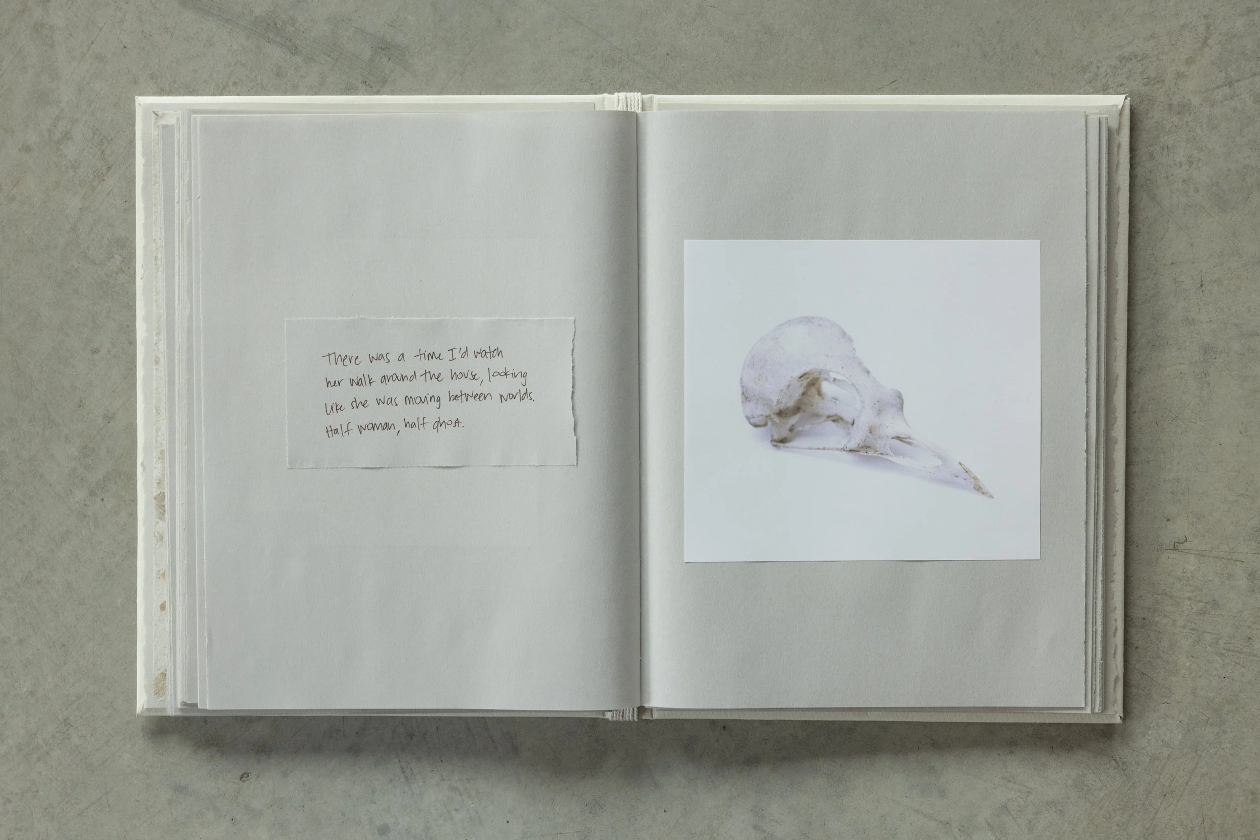 Open book showing handwritten note and photograph of a small animal skull.