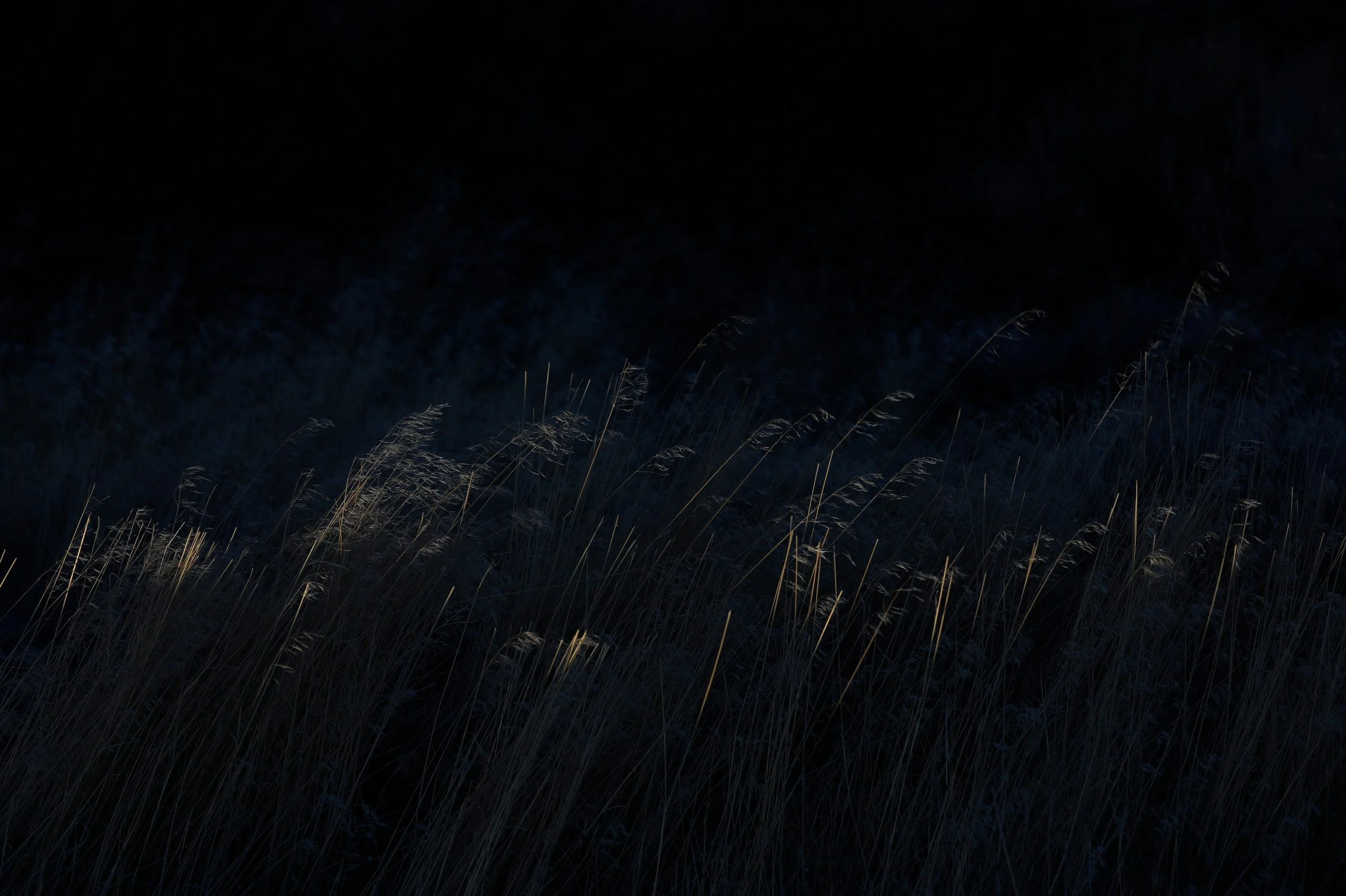 EARTH IS MAGIC011.JPG