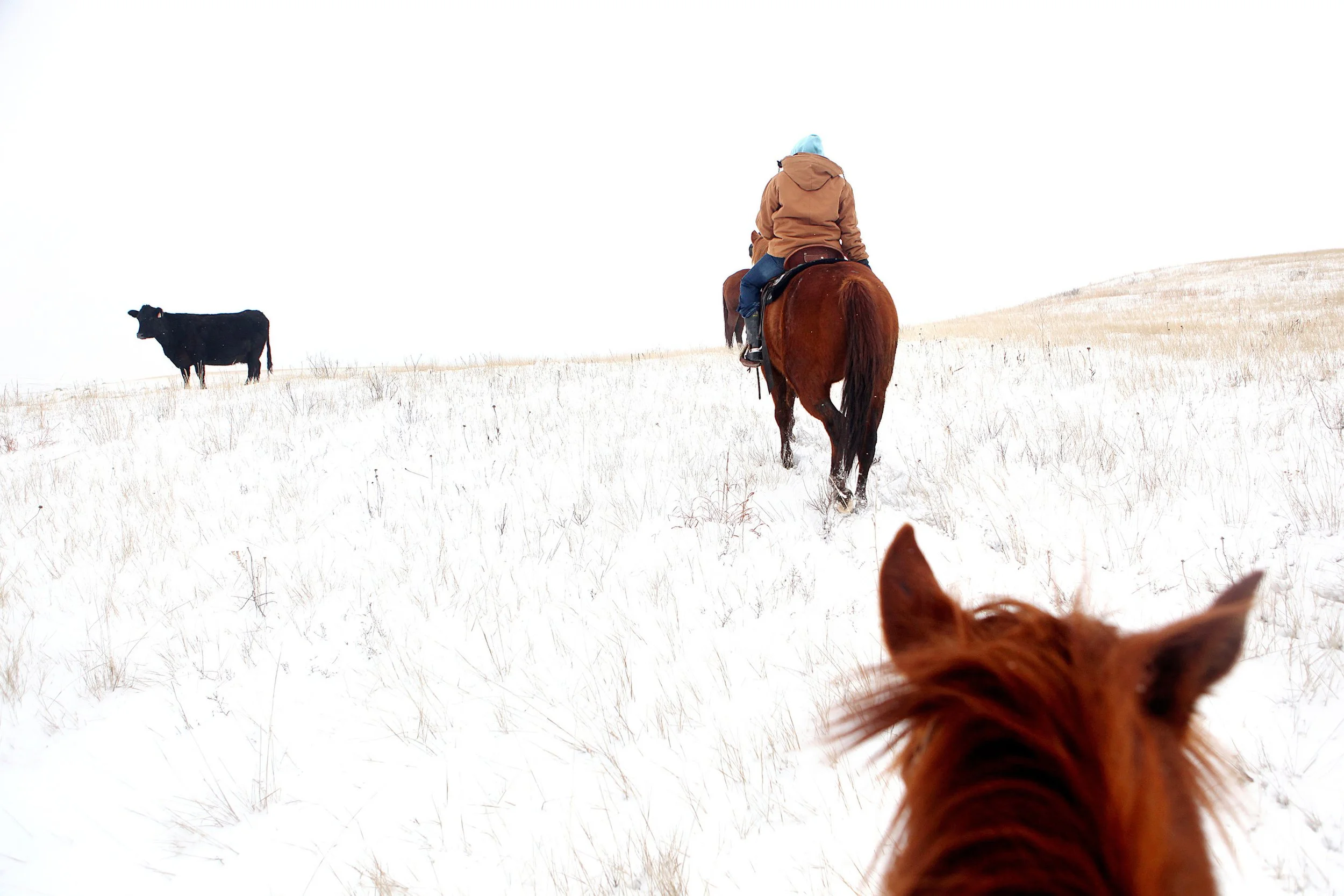 EDGE OF THE WEST_033.JPG