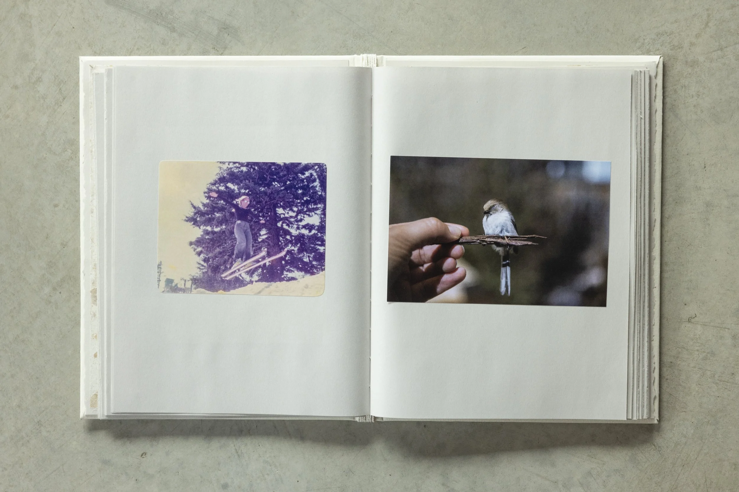 An open photo album displaying two photographs: one of a person standing on a tree branch and another of a person holding a small bird on a branch.