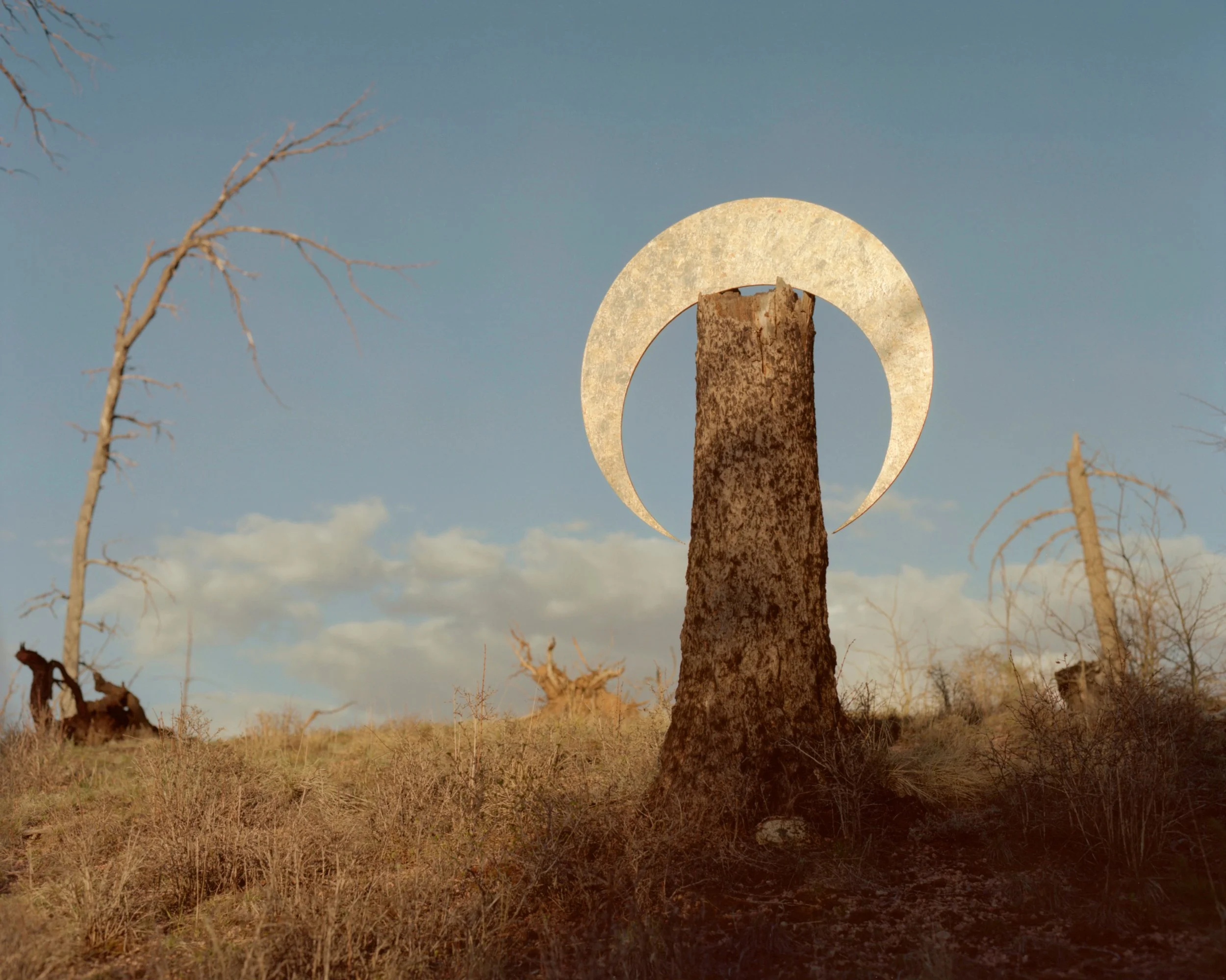 2026_LUCID DREAMING016.JPG