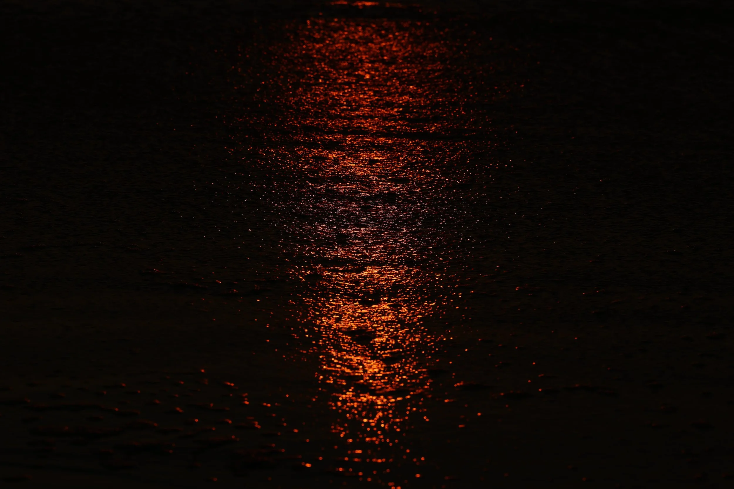EARTH IS MAGIC041.JPG