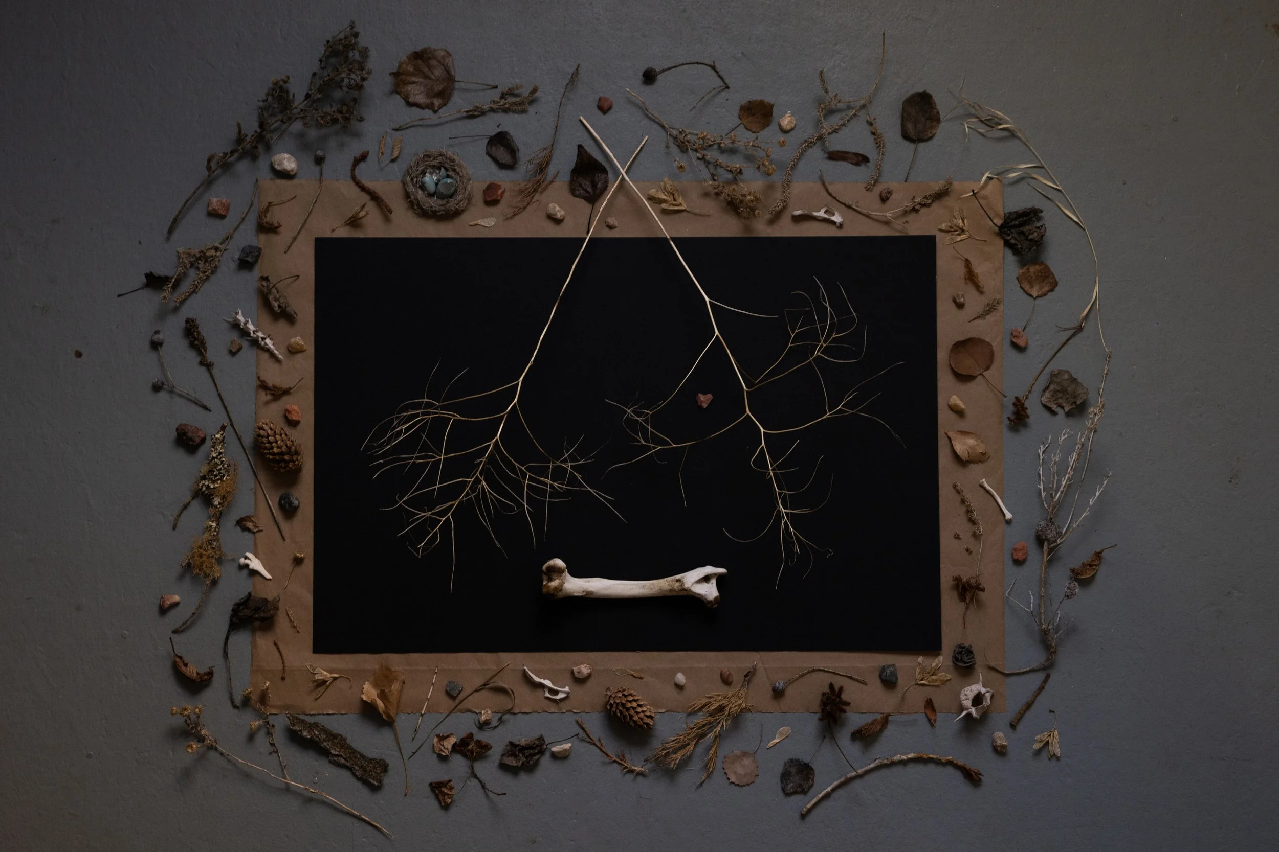 THE FOUND010.JPG
