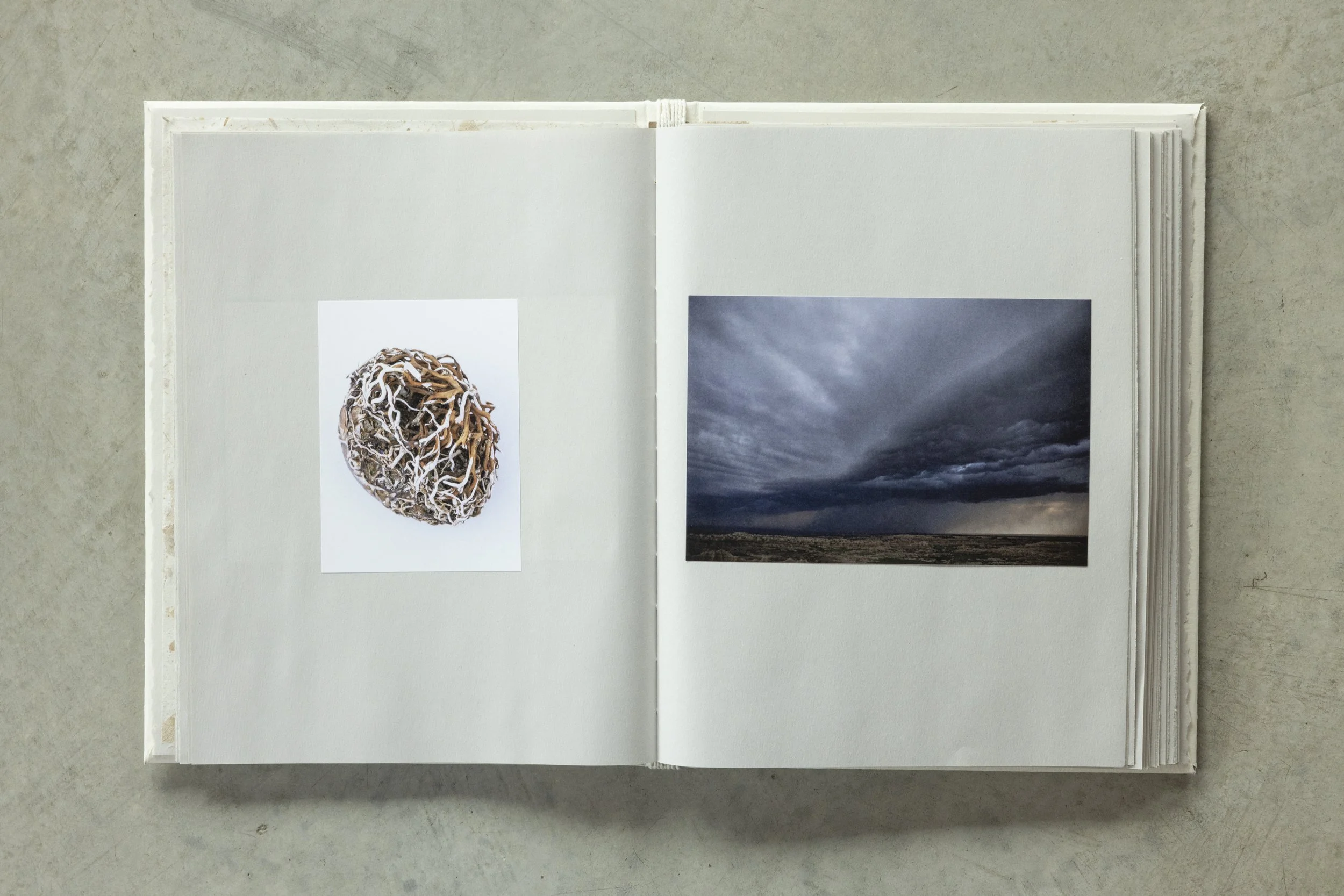 Open photo book displaying two pages with images; the left page shows a close-up of a natural ball of intertwined roots or twigs, and the right page shows a cloudy sky with rays of sunlight breaking through.