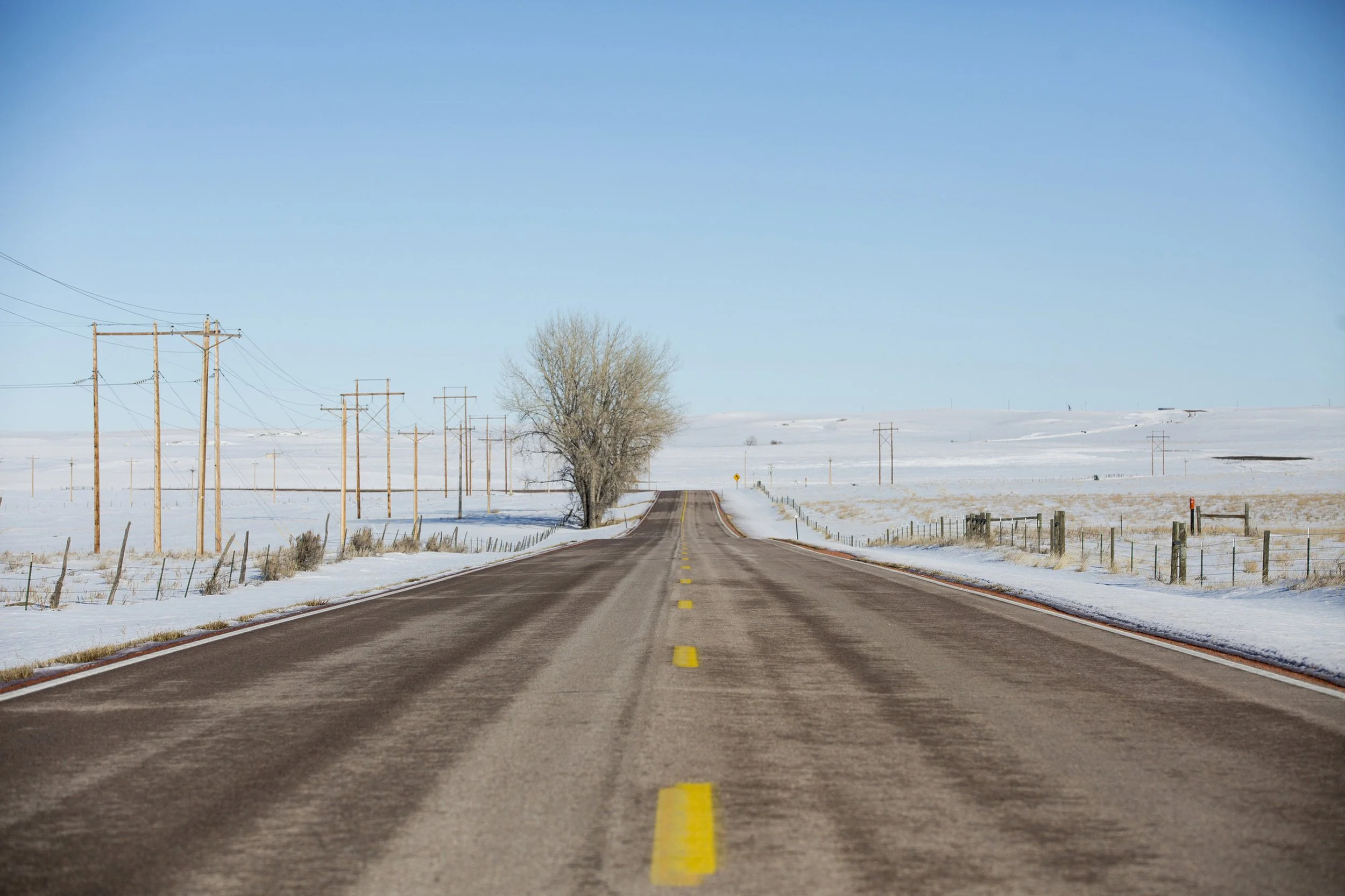 A straight paved road with yellow dividing lines, surrounded by snow-covered fields, with utility poles on the left and a leafless tree in the center, under a clear blue sky.