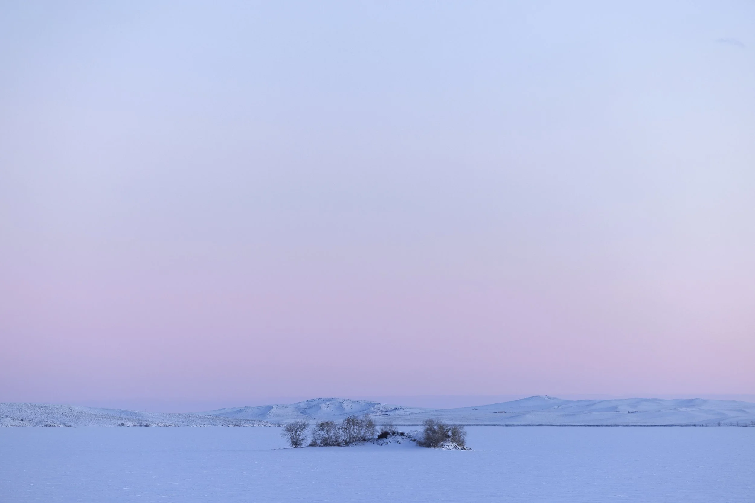 WINTER PRINTS016.JPG