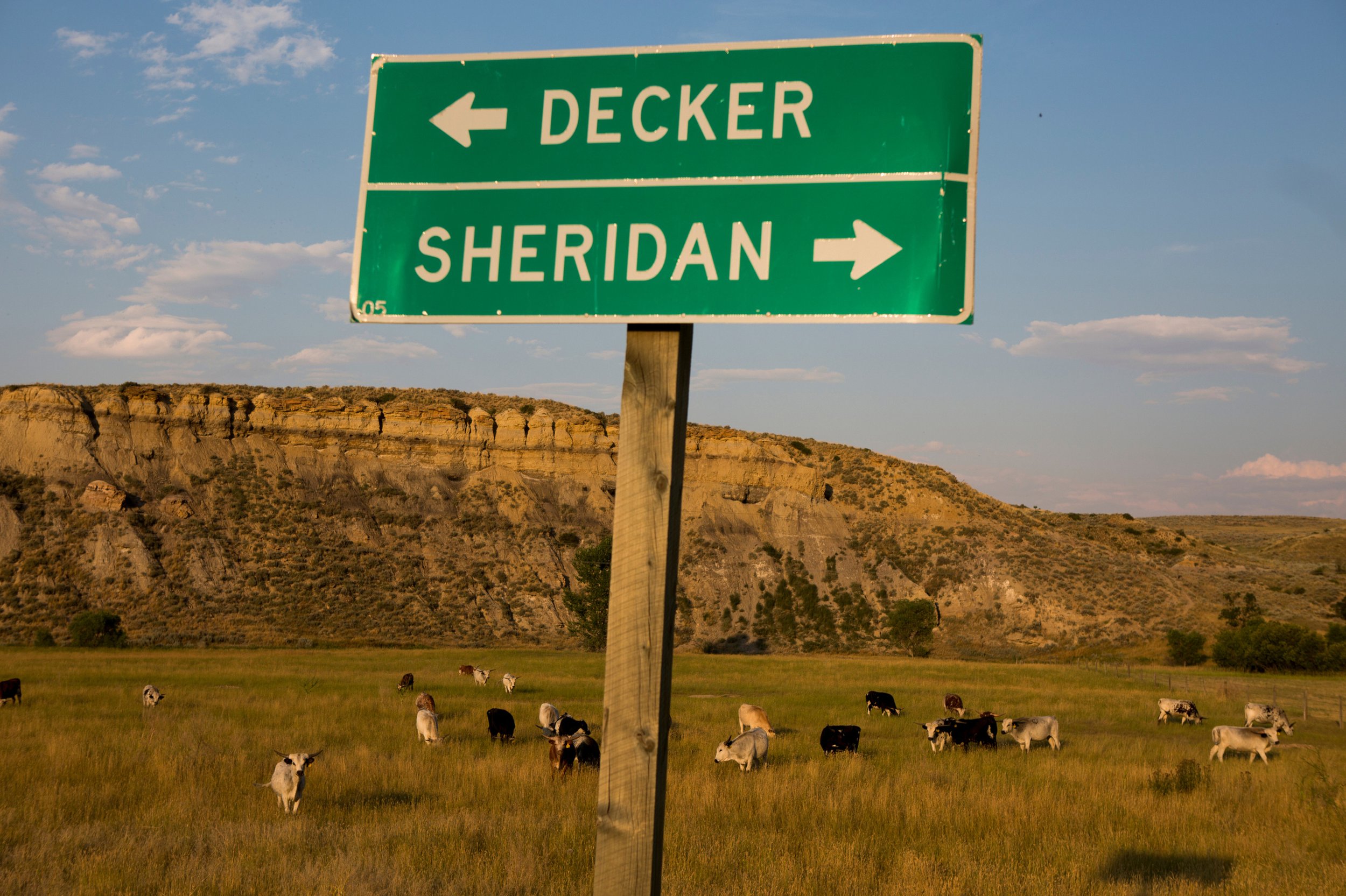 A green highway sign with white text and arrows pointing left to Decker and right to Sheridan, against a blue sky. Below, a rural landscape with grassy fields, grazing cows, and rocky hills in the background.