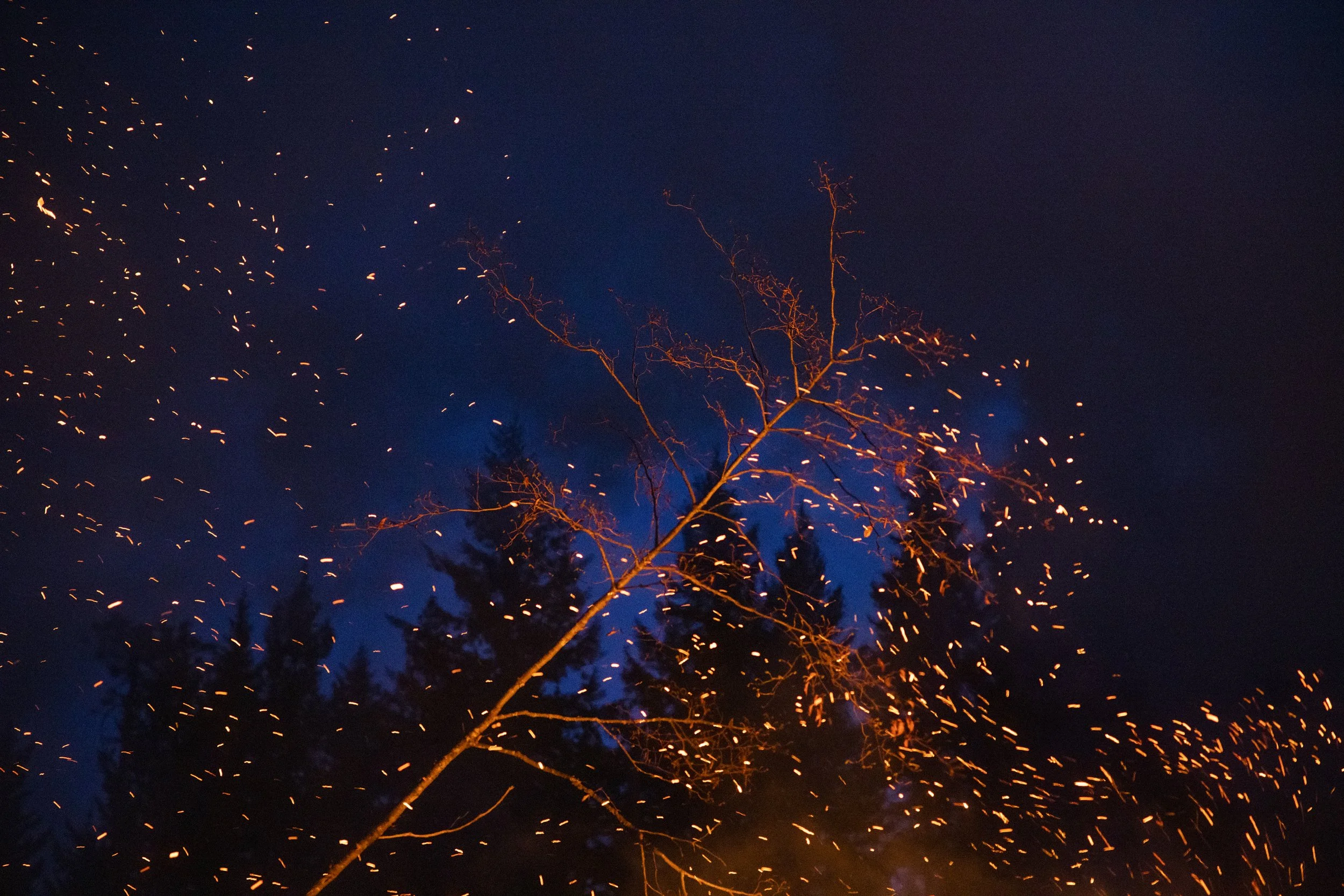 EARTH IS MAGIC042.JPG