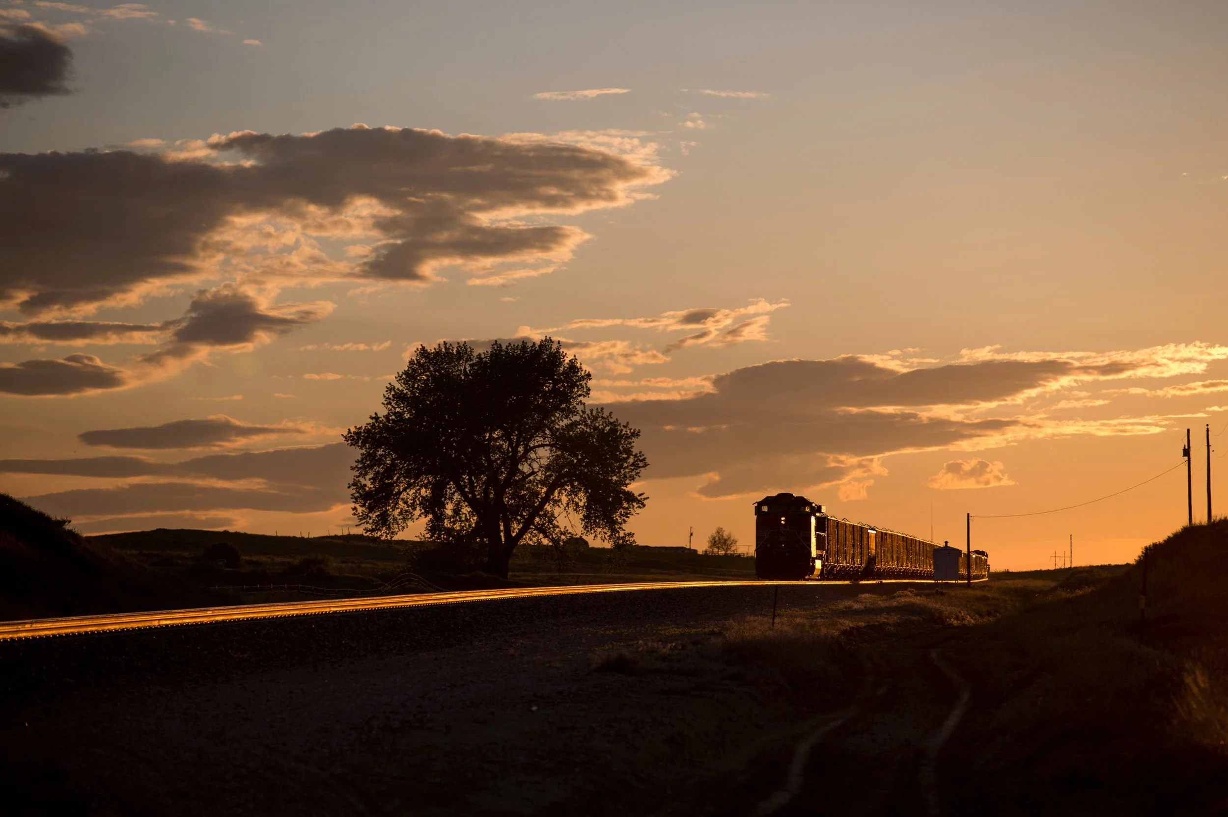 A train traveling through a rural landscape at sunset, with a large tree in the foreground and clouds in the sky in Wyoming.
